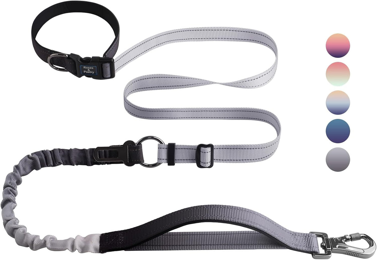Hands Free Dog Leash for Medium Large Dogs Heavy Duty, No
