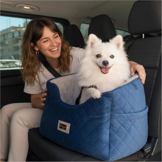Premium 2-in-1 Dog Car Seat & Home Bed for Small Dogs –