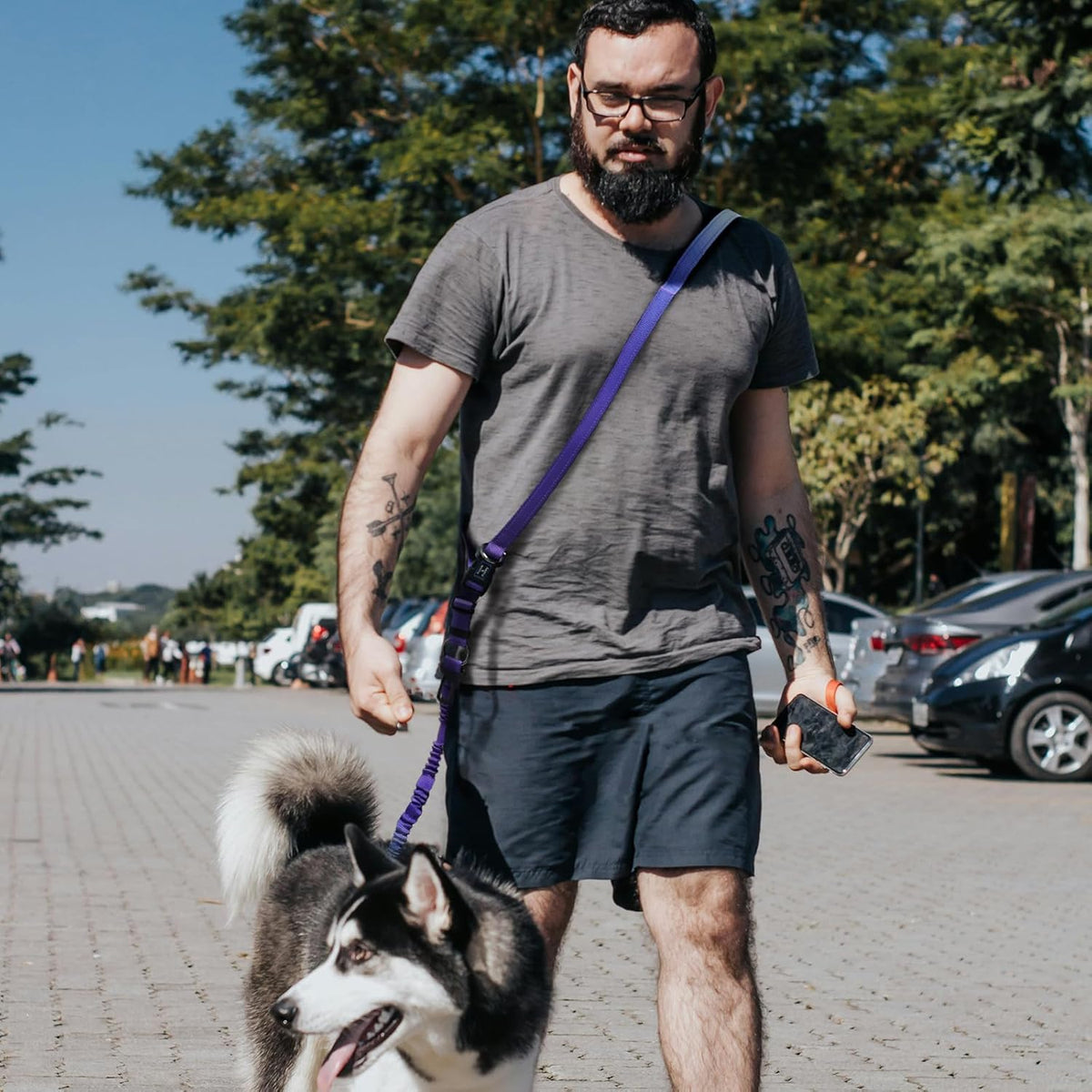 Hands Free Dog Leash for Medium Large Dogs Heavy Duty, No
