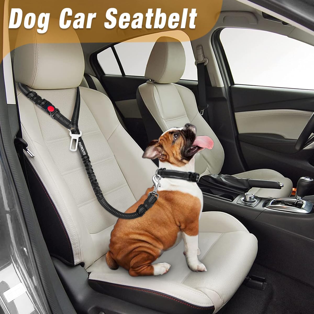 2 Piece Set Retractable Dog Car Seatbelts - Adjustable Pet