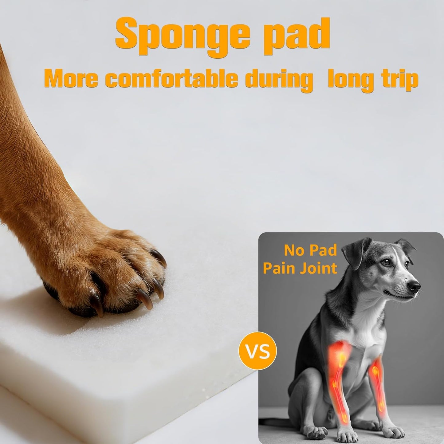 Back Seat Extender for Dogs, Hard Bottom Dog Car Seat Cover