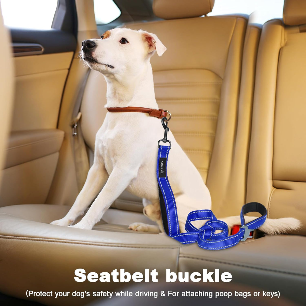 6 Foot Blue Dog Leashes for Large Medium and Small Breed