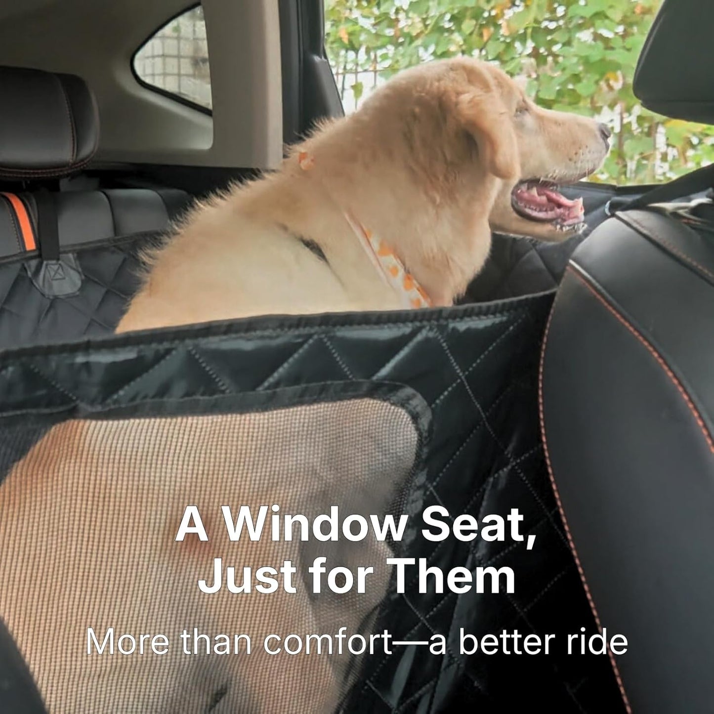 Dog Car Seat Cover for Back Seat with Door Protection