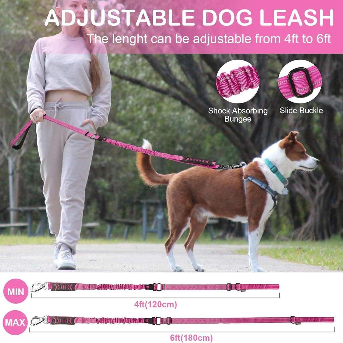 Heavy Duty Dog Leash for Medium Large Dogs that Pull,4-6FT
