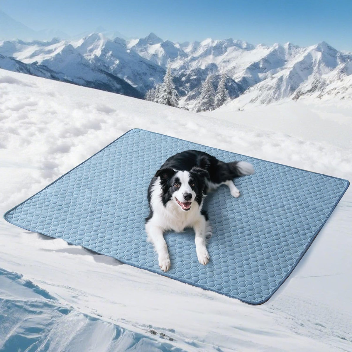 Cooling Mat for Large Dogs - 40"x50" Washable Cooling Pad