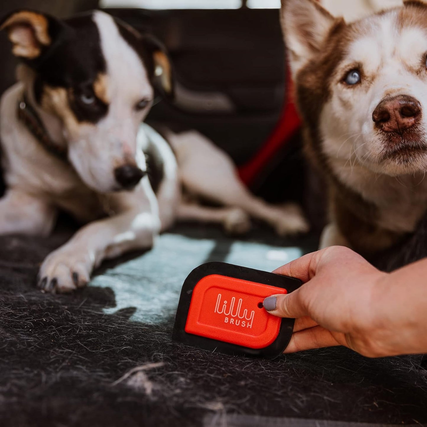 Mini Pet Hair Detailer | Reusable Fur Remover for Car