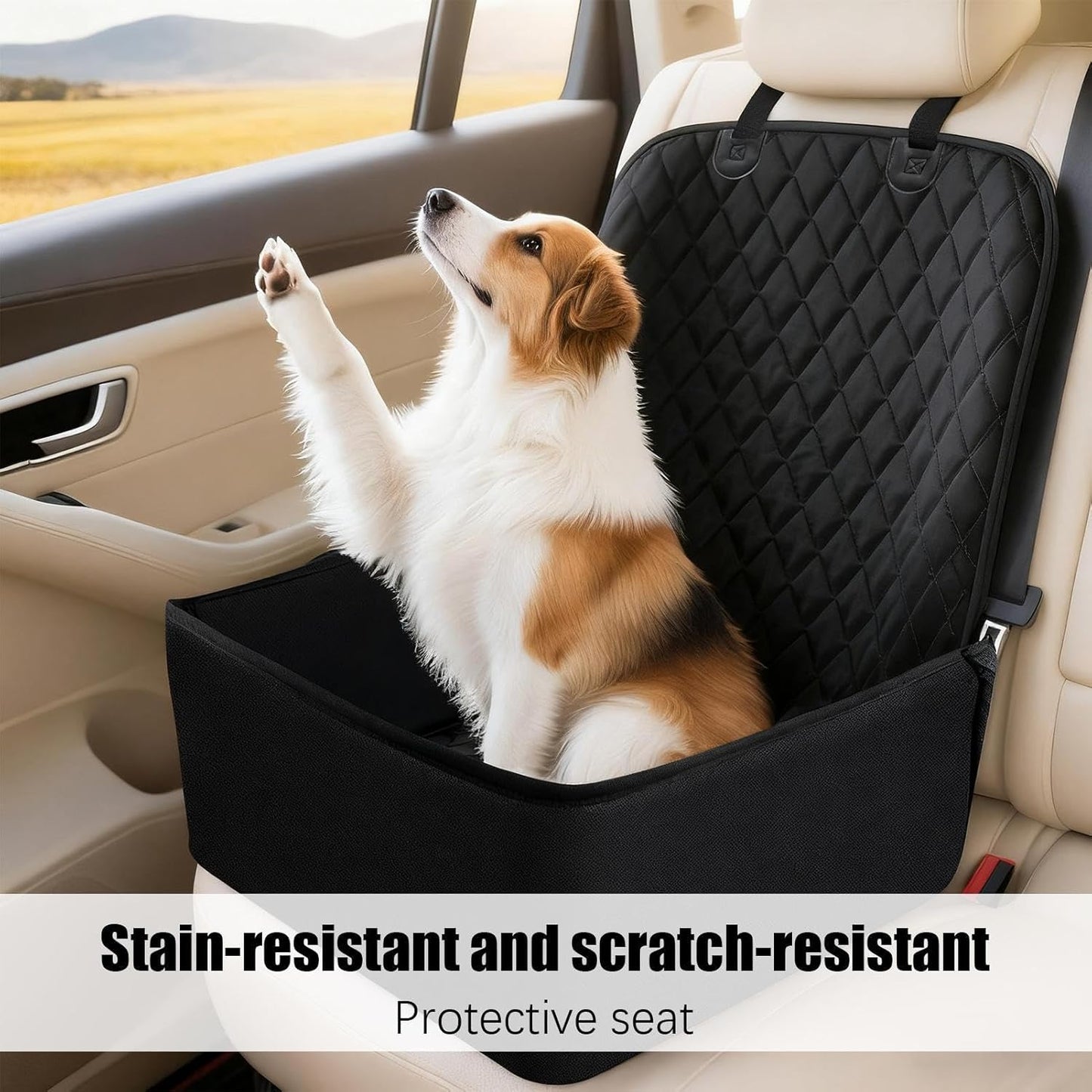 Dog Car Seat - Large Waterproof Back Seat Extender for