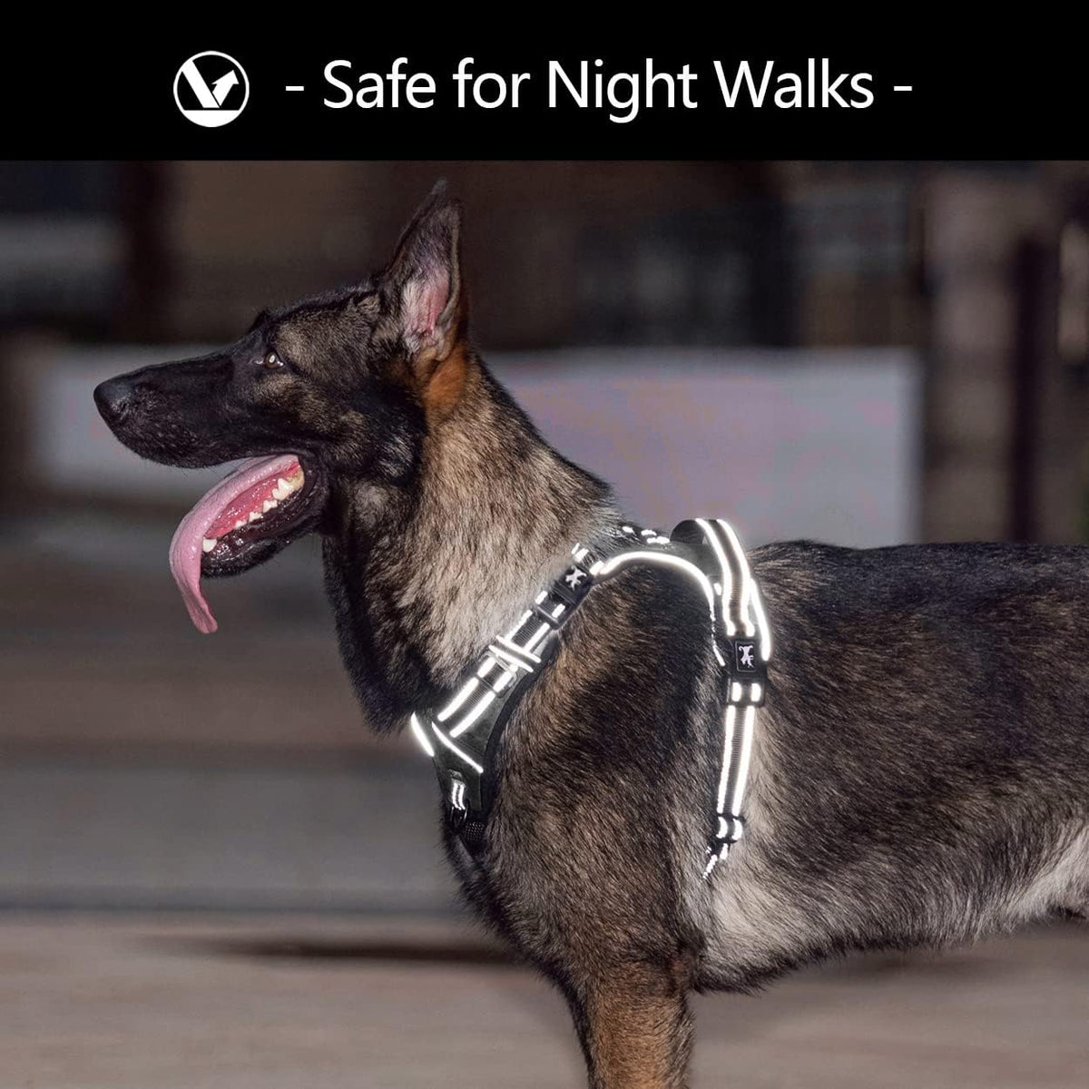 2019 Upgraded No Pull Dog Harness with 4 Snap Buckles, 3M
