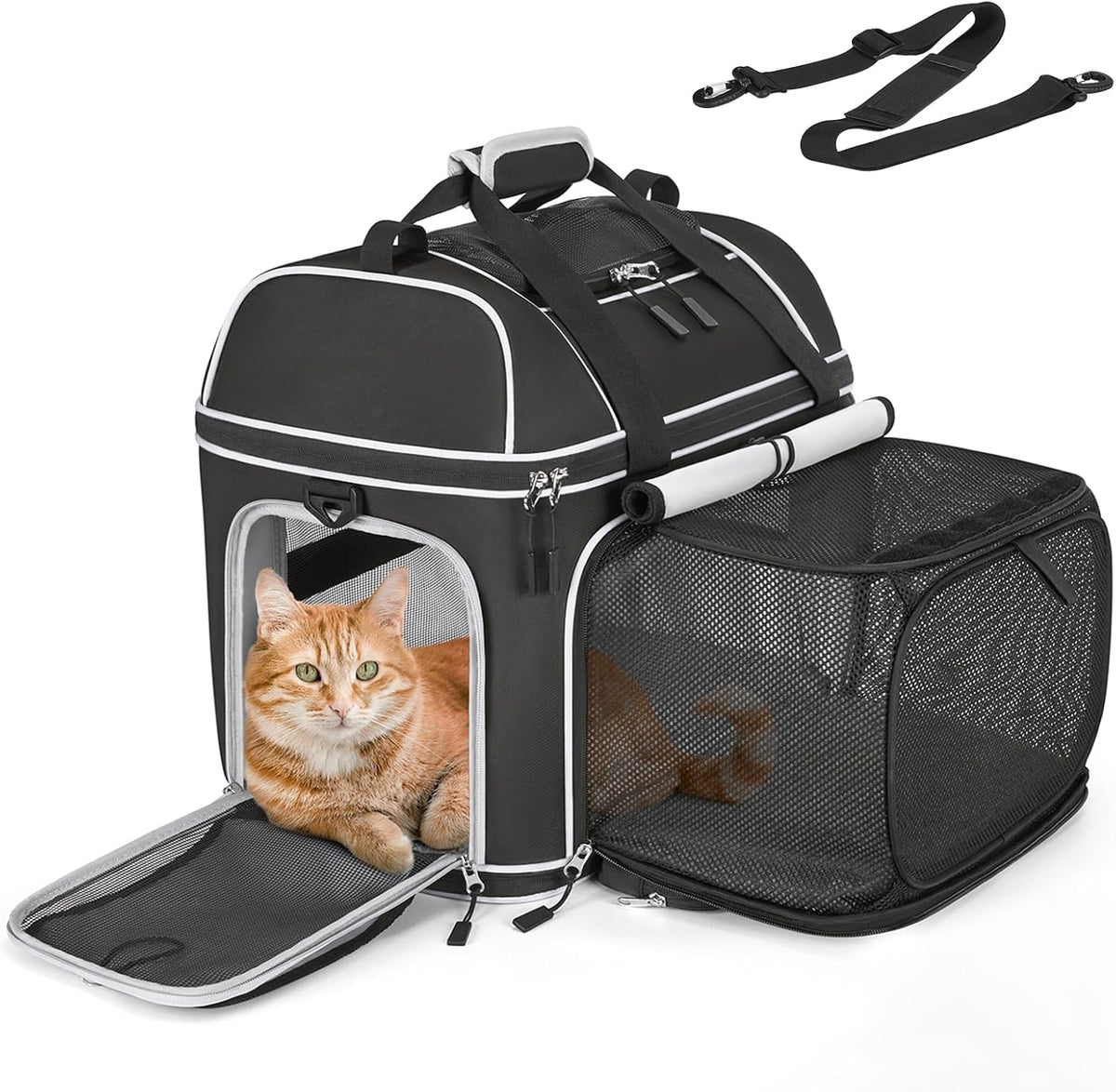 Expandable Pet Carrier: Soft-Sided Cat Dog