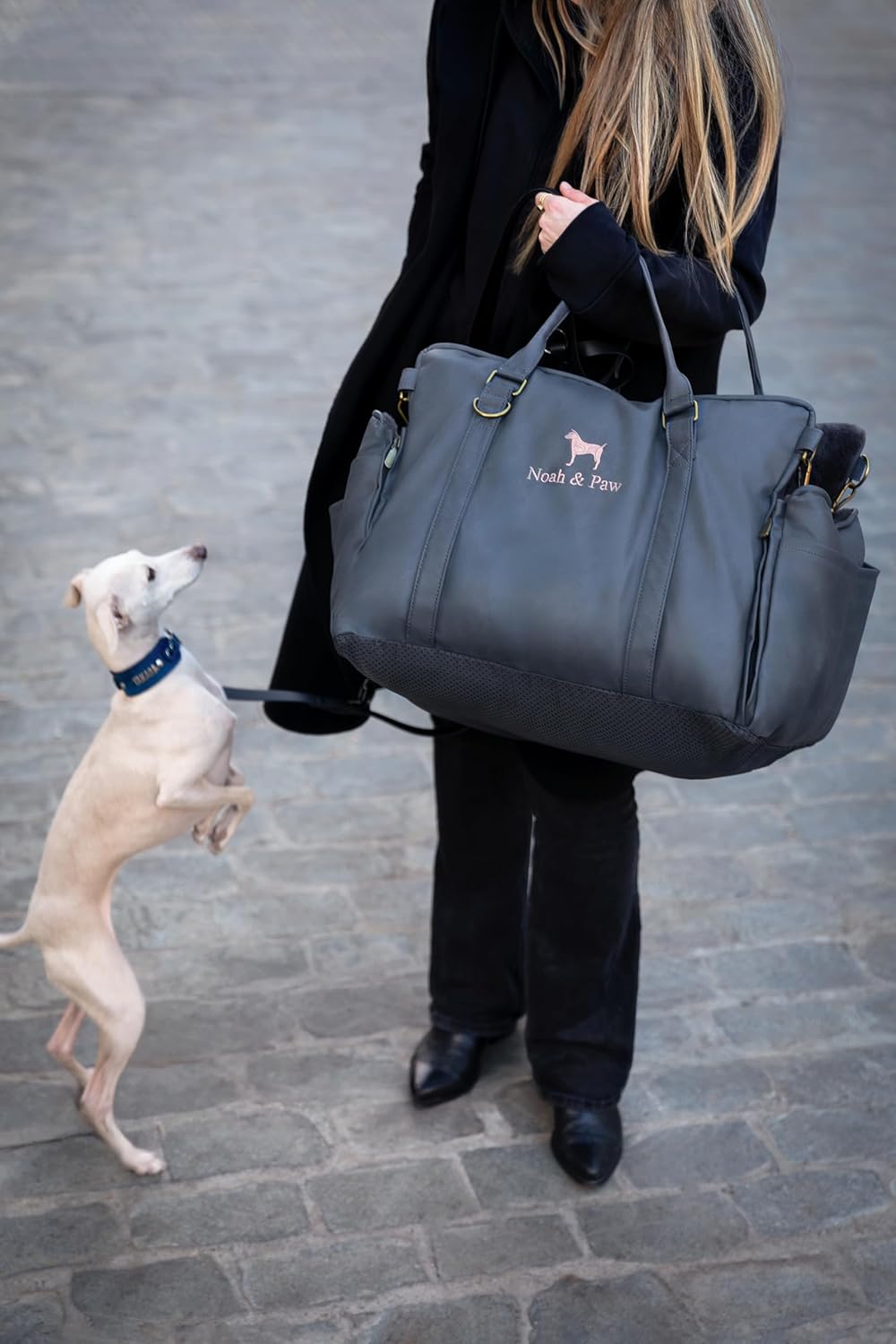 Dog Car Seat Carrier, Small Dog Car Seat for Small Medium