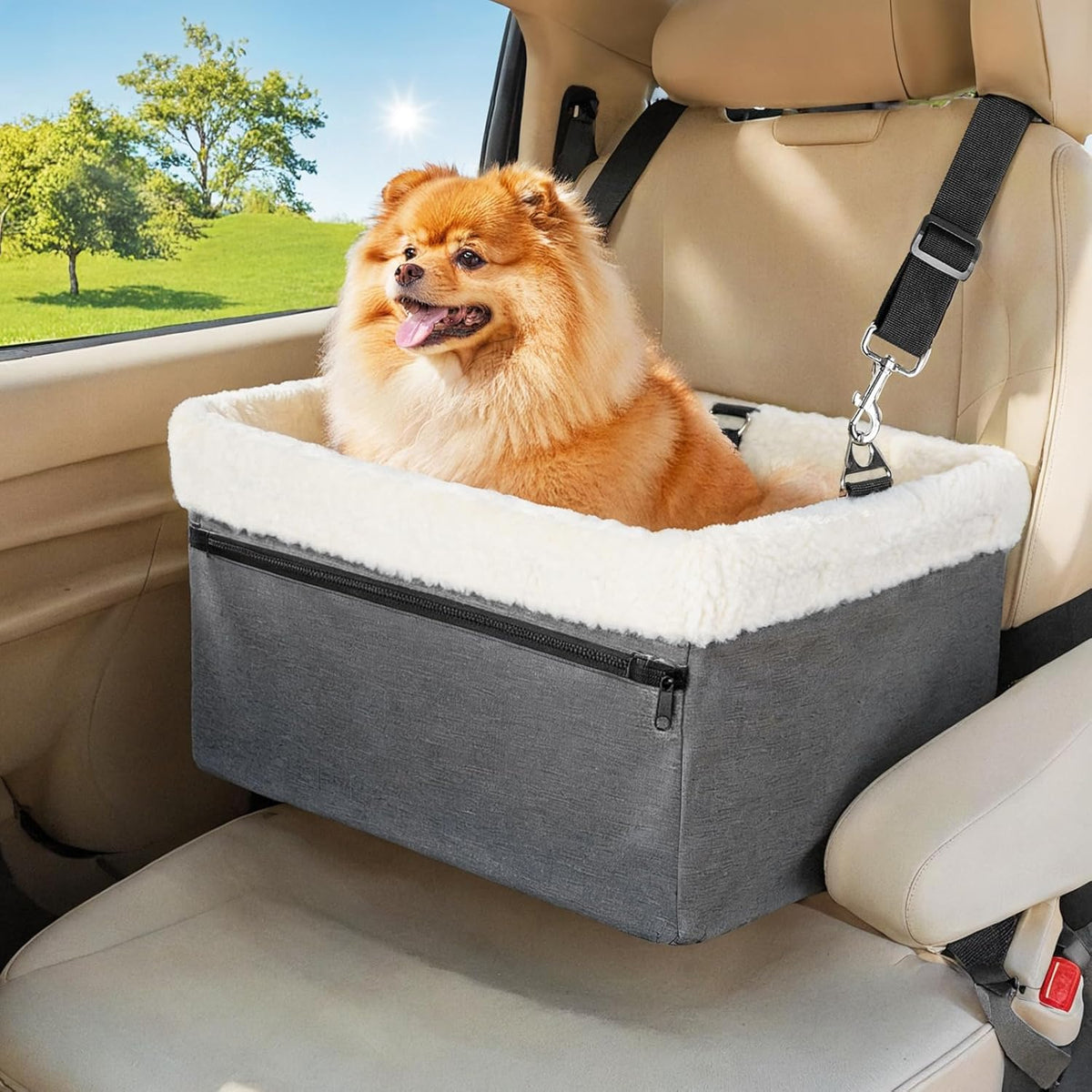 Dog Car Booster Seat for Small Dogs & Cats, Raised with