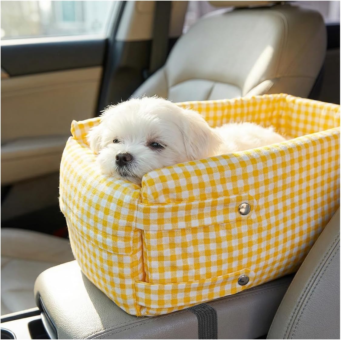 Center Console Dog Car Seat, Removable Car Armrest Box Pet