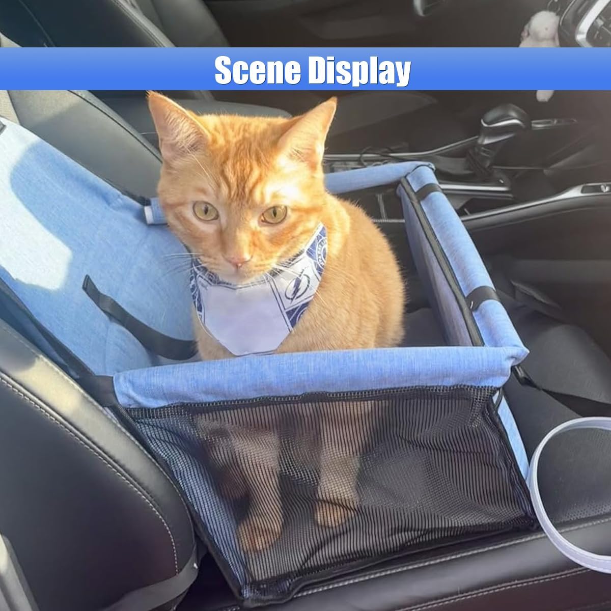 Dog Car Seat, Portable Foldable Oxford Cloth Pet Booster