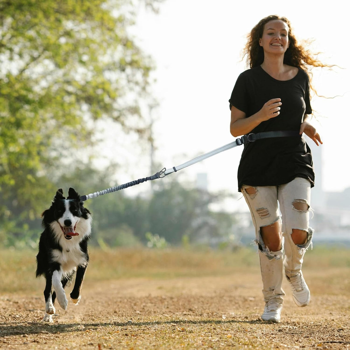 Hands Free Dog Leash for Medium Large Dogs Heavy Duty, No