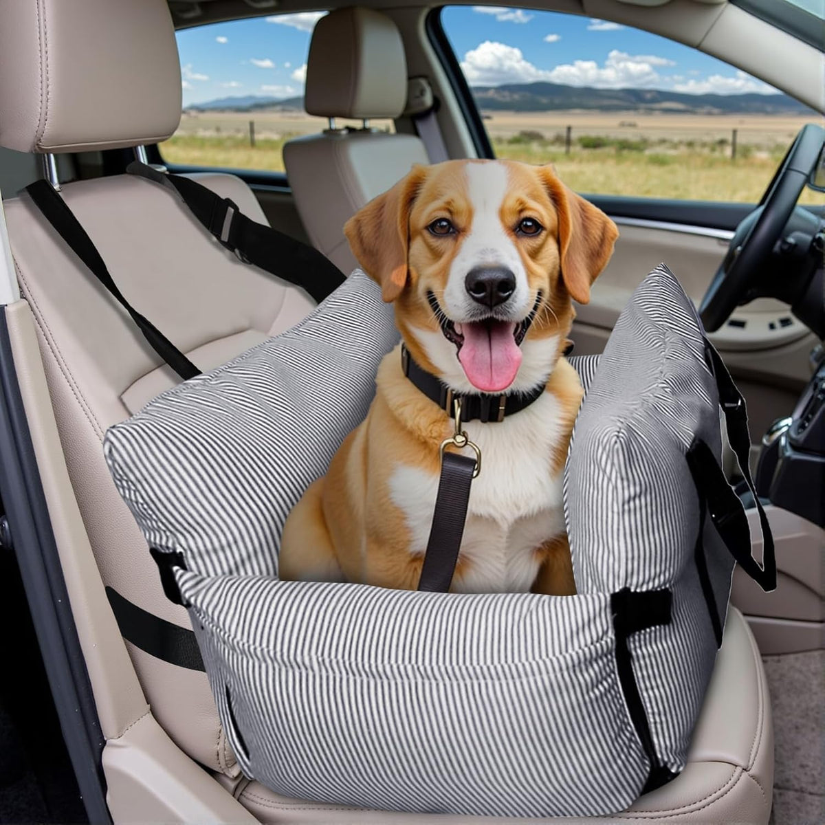 Dog Car Seat for Small/Medium Dogs Under 40 lbs - Elevated