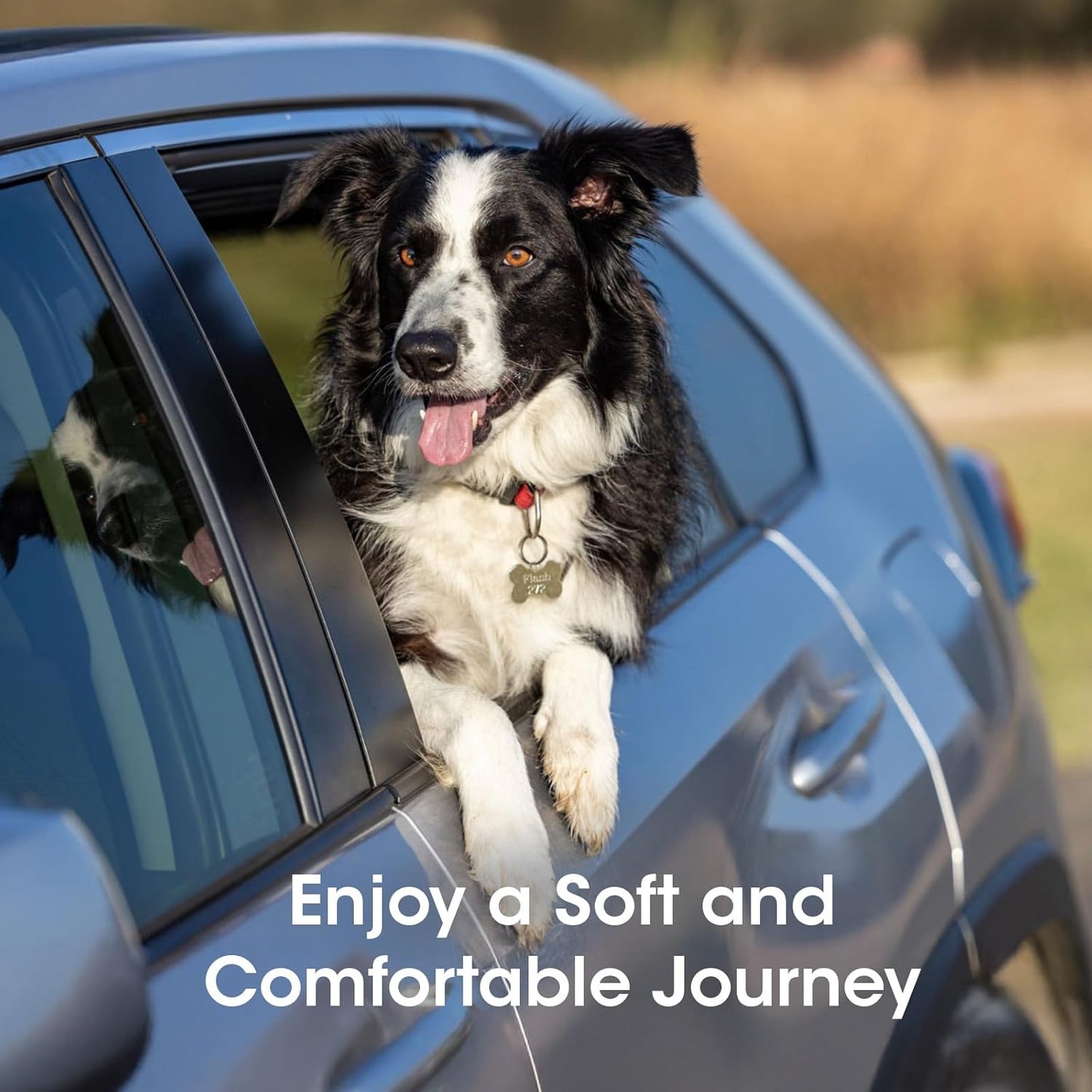 Dog Seat Cover, Upgrade Large Back Seat Pet Seat Cover