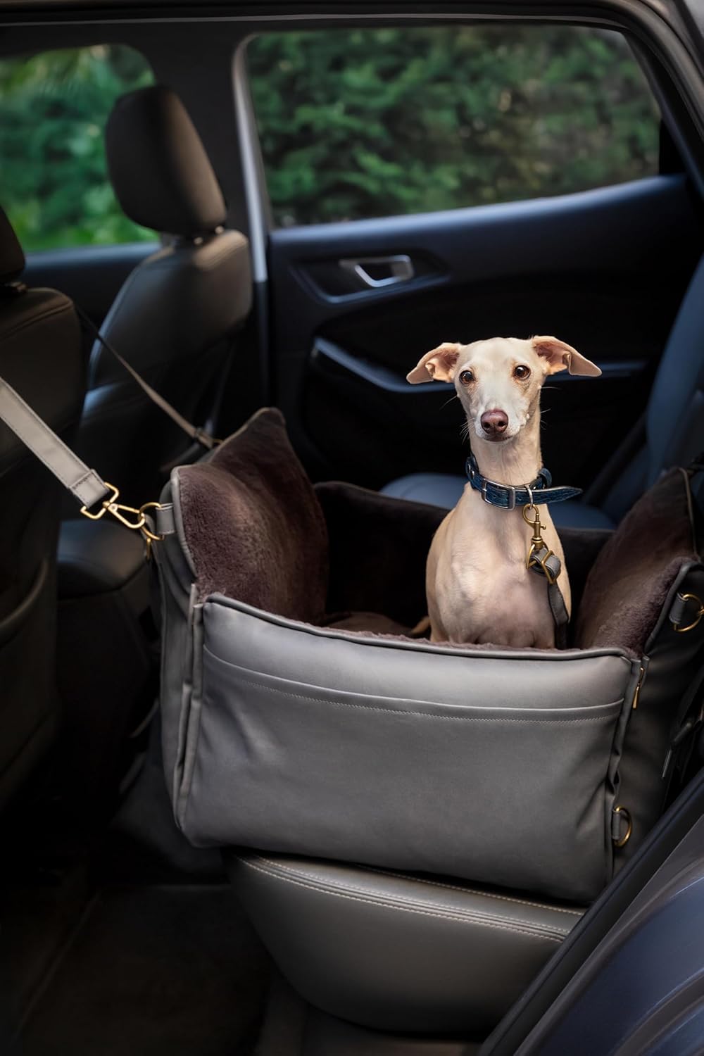 Dog Car Seat Carrier, Small Dog Car Seat for Small Medium