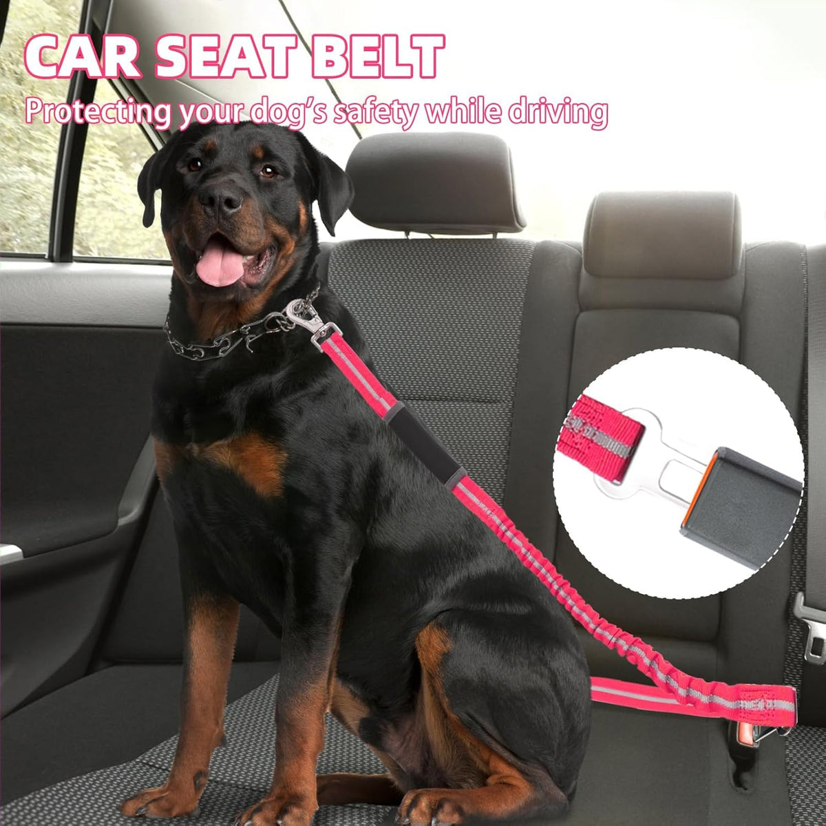 Heavy Duty Bungee Leash for Medium Large Dogs, No Pull