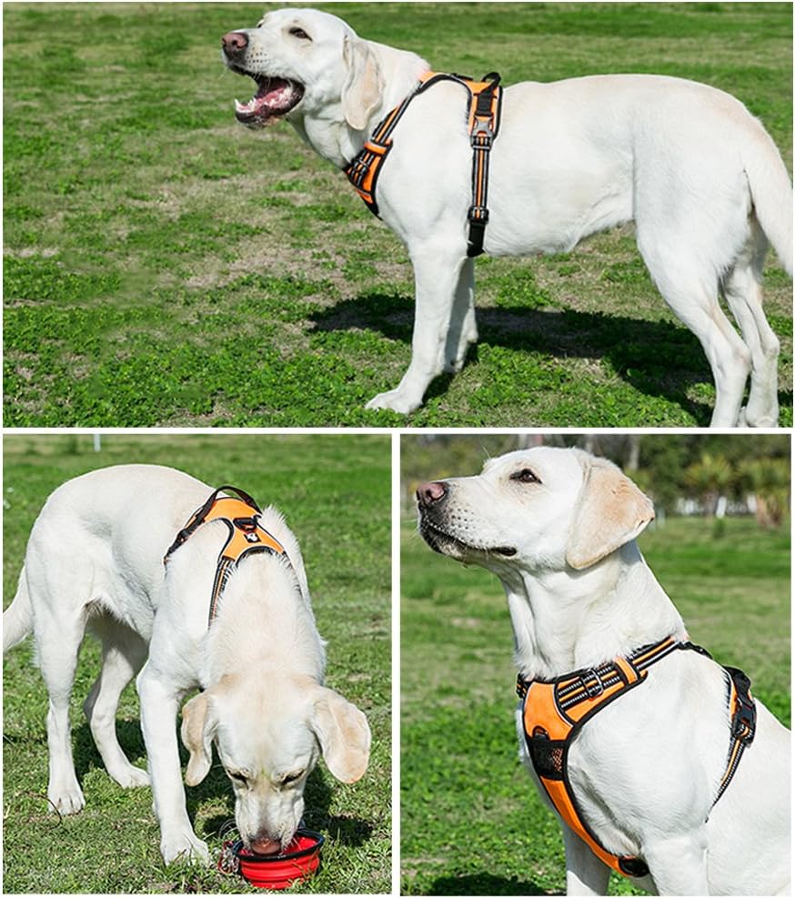 ® New No Pull Dog Harness Outdoor Adventure Reflective