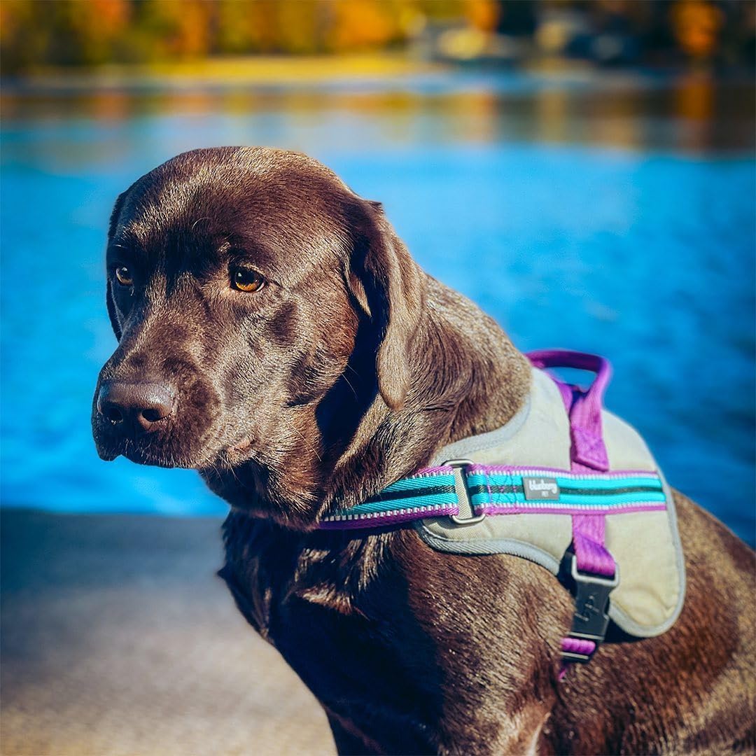 Reflective Dog Harness Medium Sized Dog Pink Dog Harness