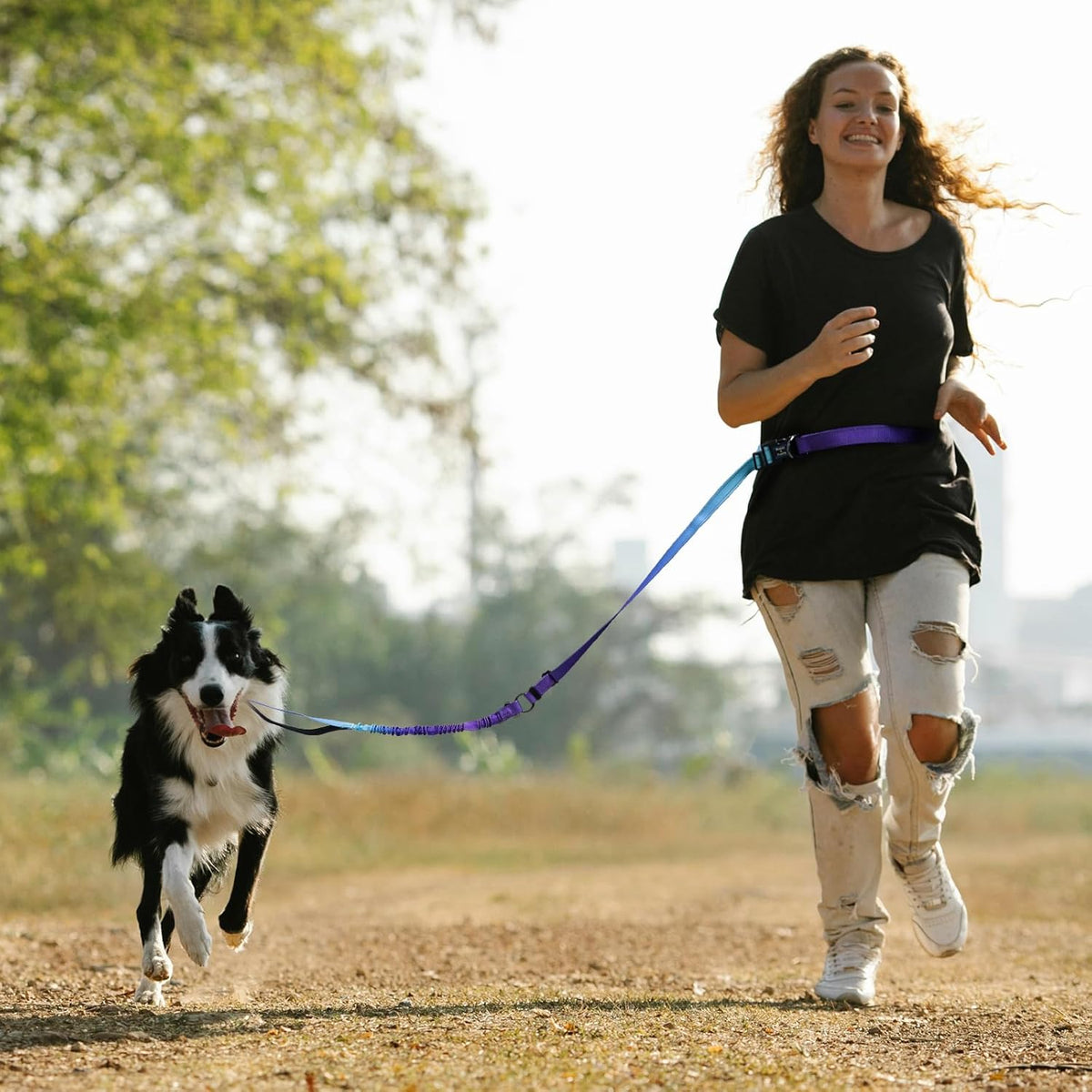 Hands Free Dog Leash for Medium Large Dogs Heavy Duty, No