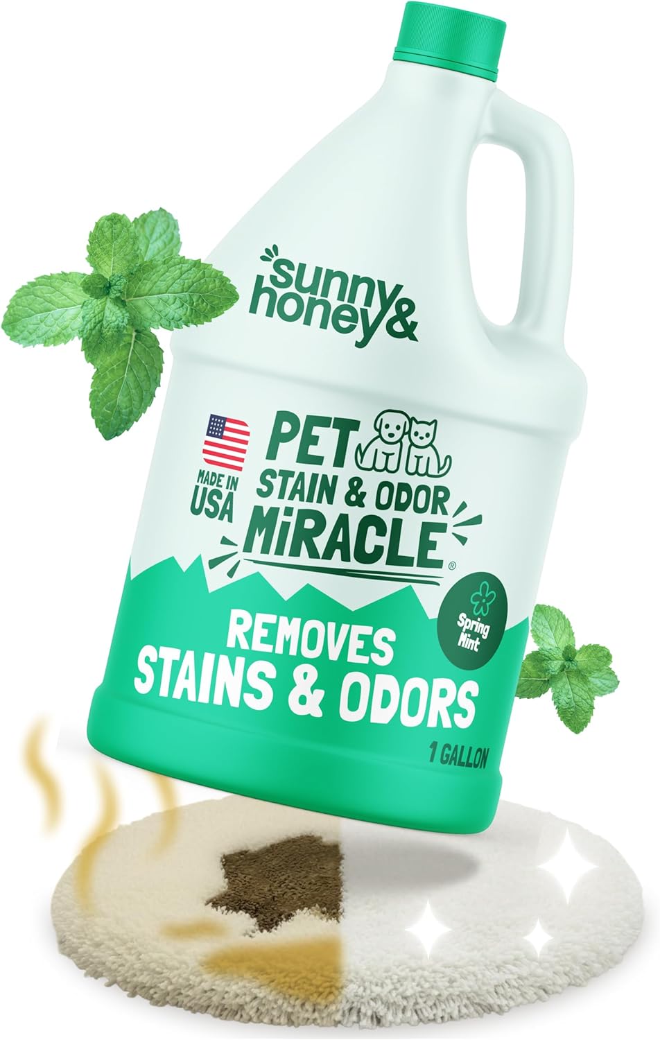 Pet Stain and Odor Remover - Enzyme Cleaner for Dog Urine