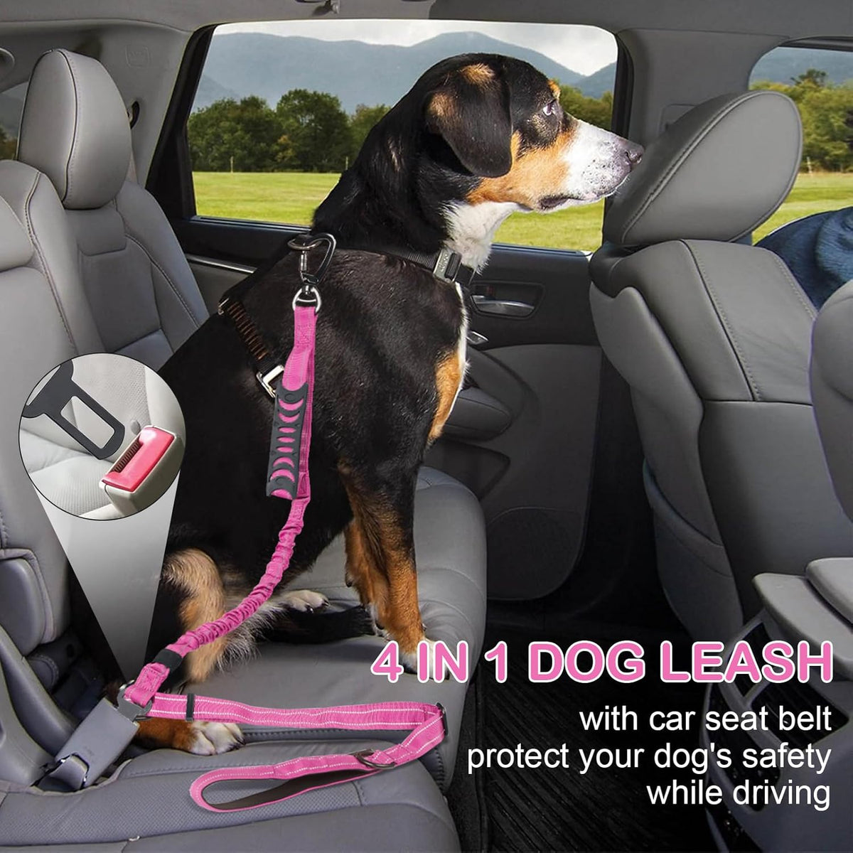 Heavy Duty Dog Leash for Medium Large Dogs that Pull,4-6FT