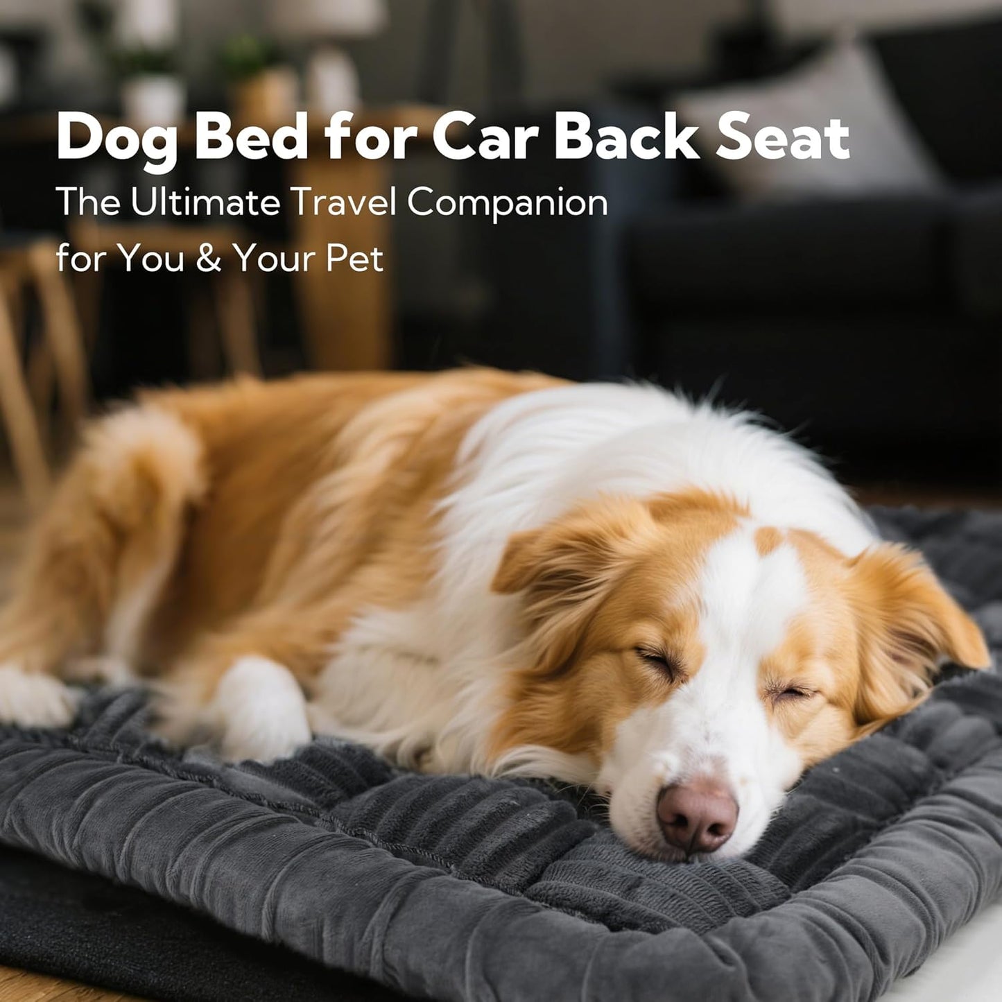Backseat Pet Bed Mat,Dog Bed for Car,Fuzzy Dog Seat Cover