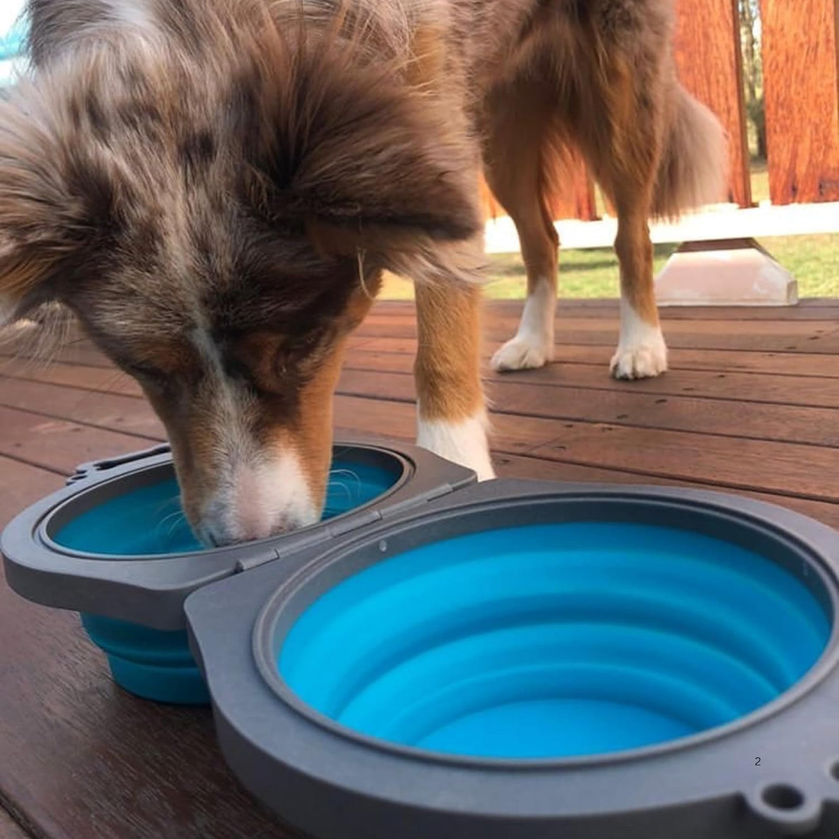 Loving Pets 73807992: Travel Double Diner Dog Bowl, Blue Md