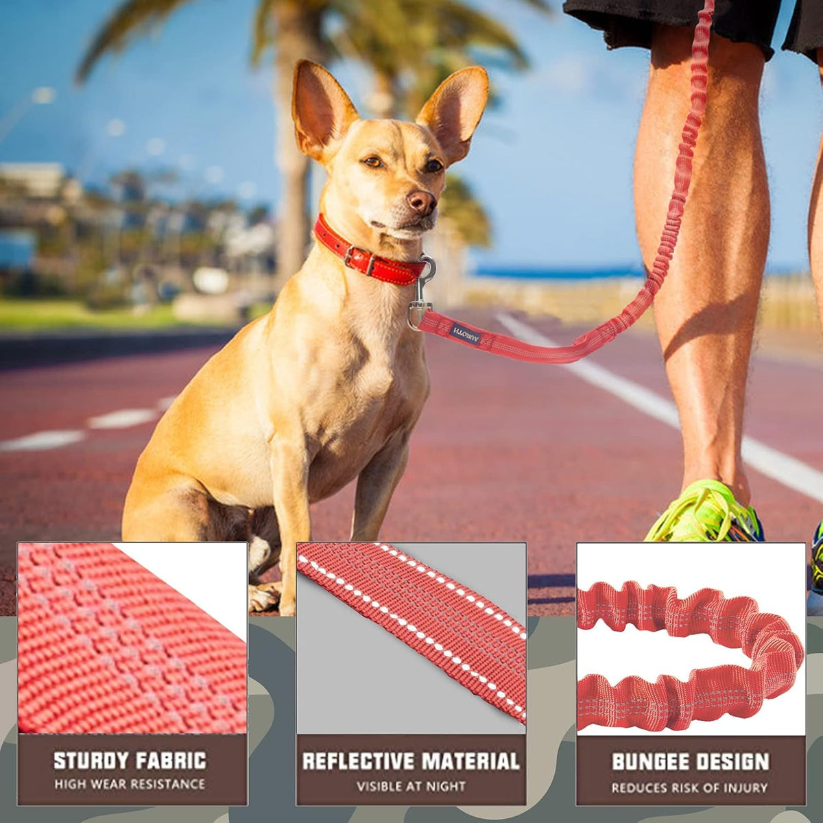 Heavy Duty Bungee Dog Leash for Large Breed Dogs, No Pull