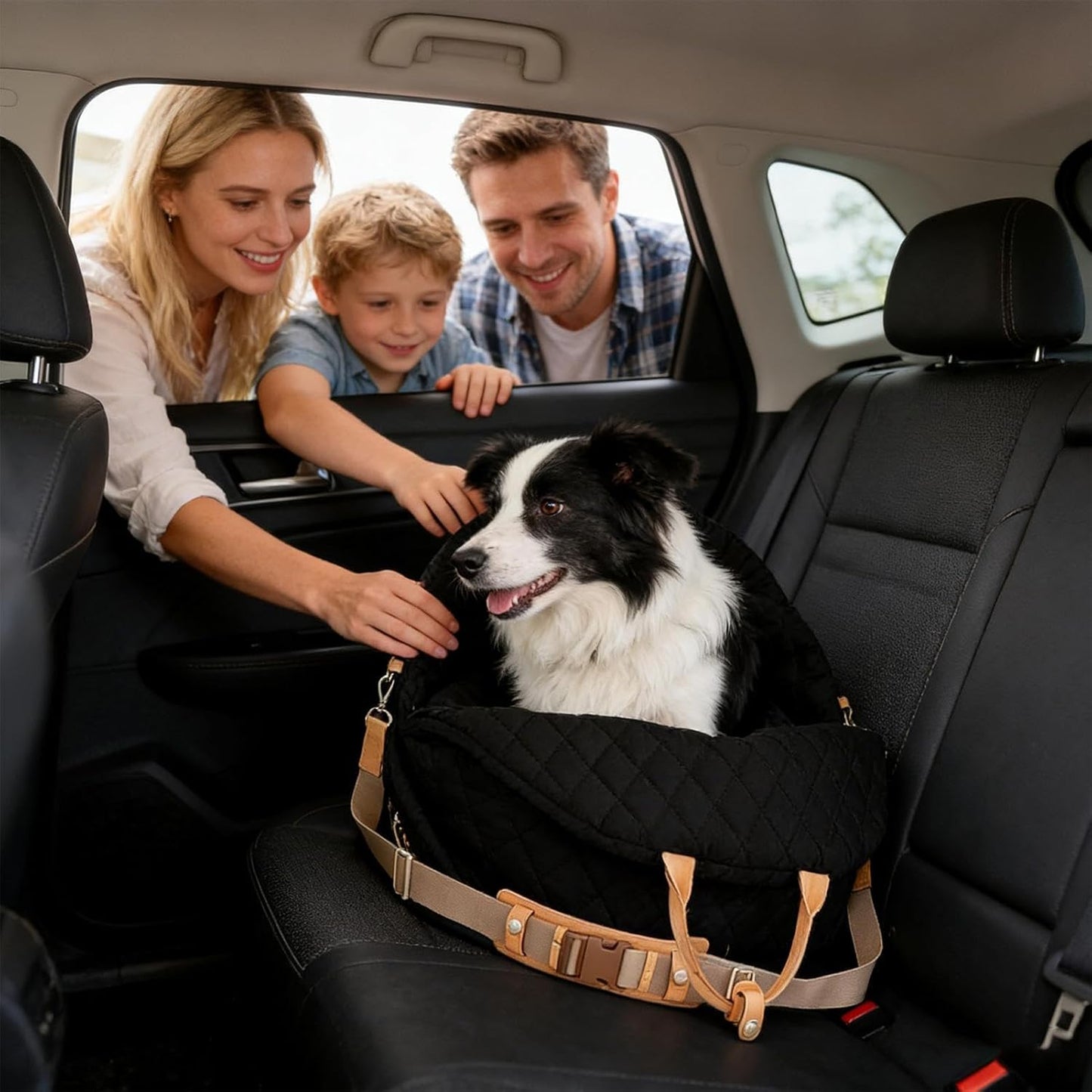 Dog Seat - Multi-Functional Pet Carrier with Handles |