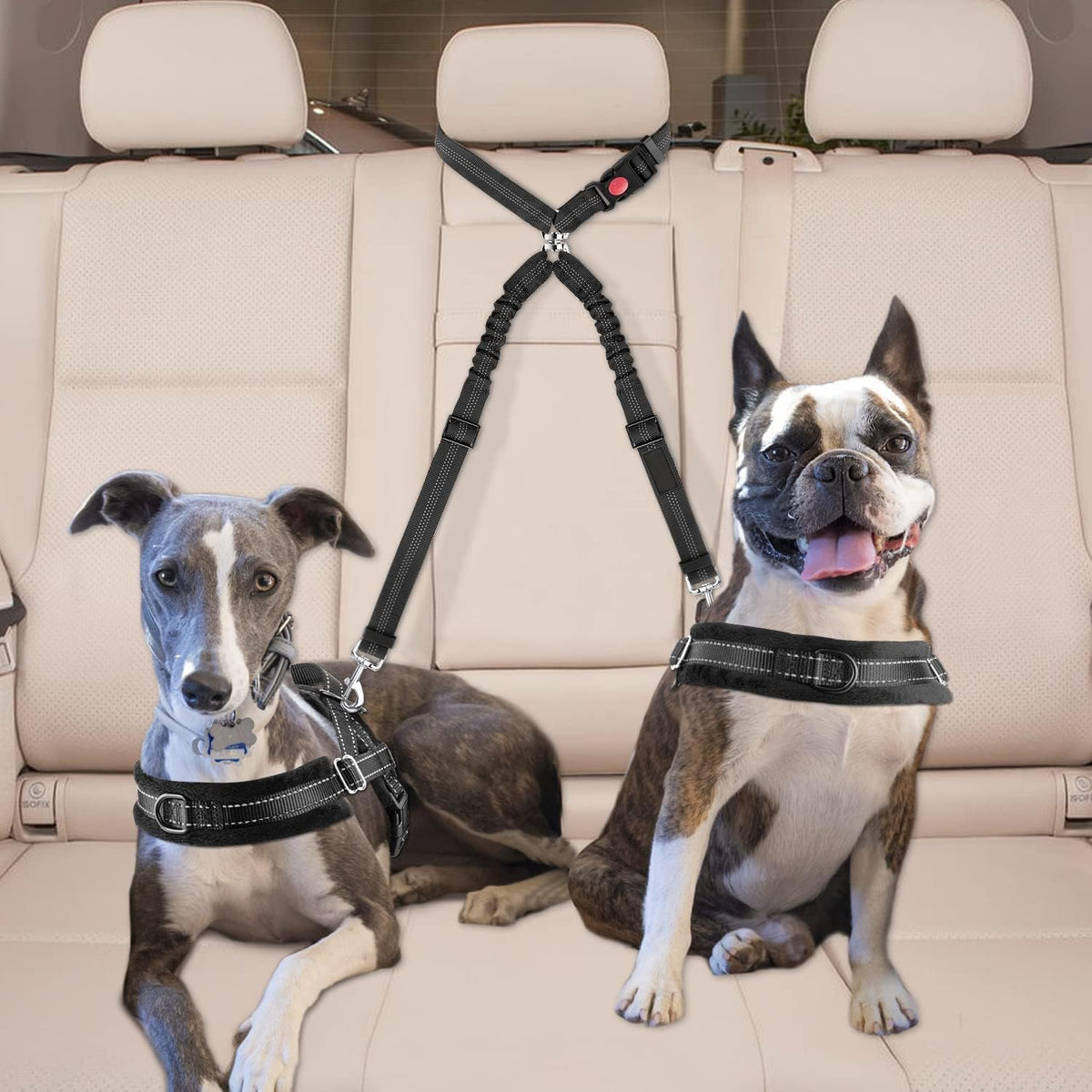 Dog Seat Belt for Car, Dual Pet Vehicle Headrest Restraint