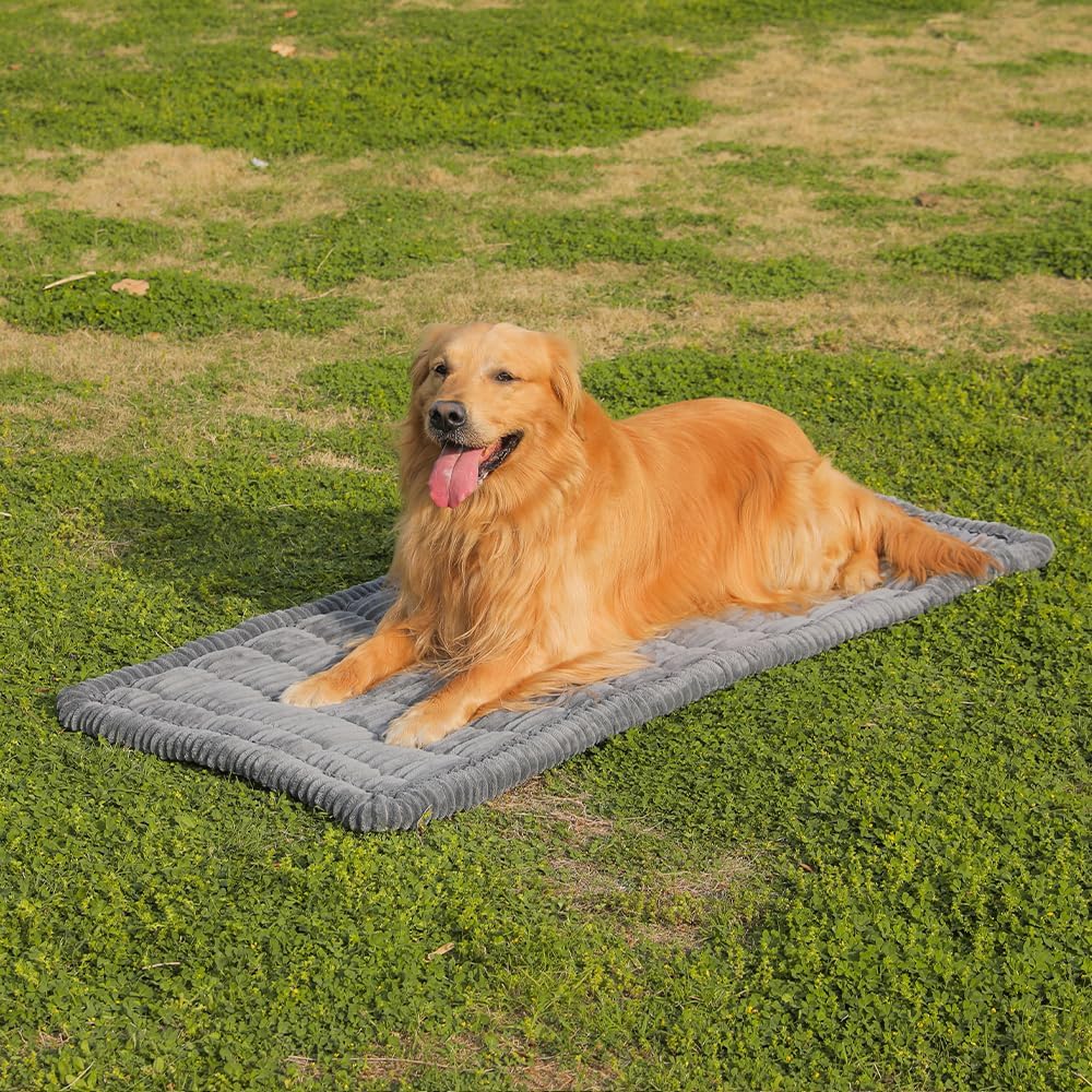 Dog Car Seat Cover for Back Seat, Dog Bed for Car, Fit for