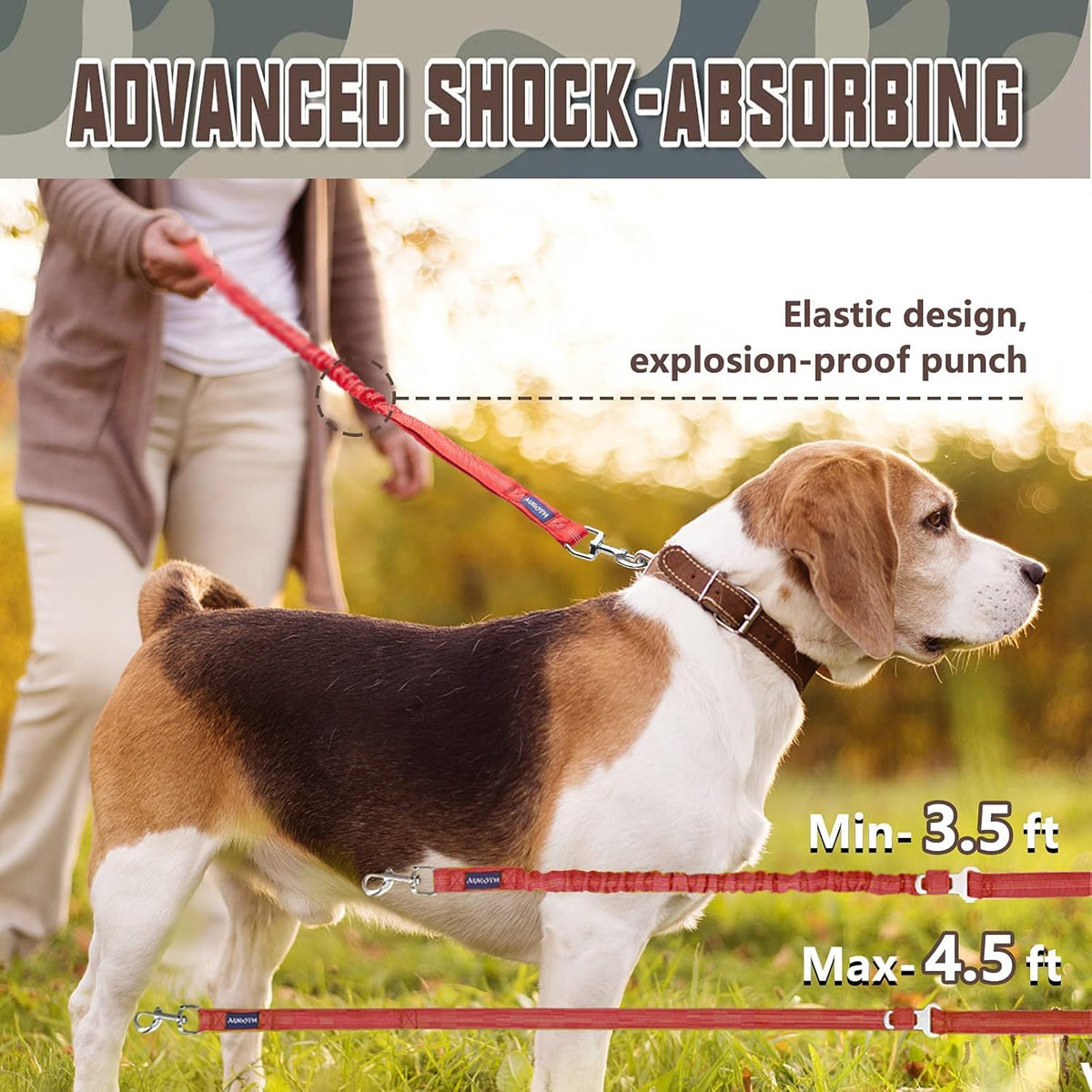 Heavy Duty Bungee Dog Leash for Large Breed Dogs, No Pull