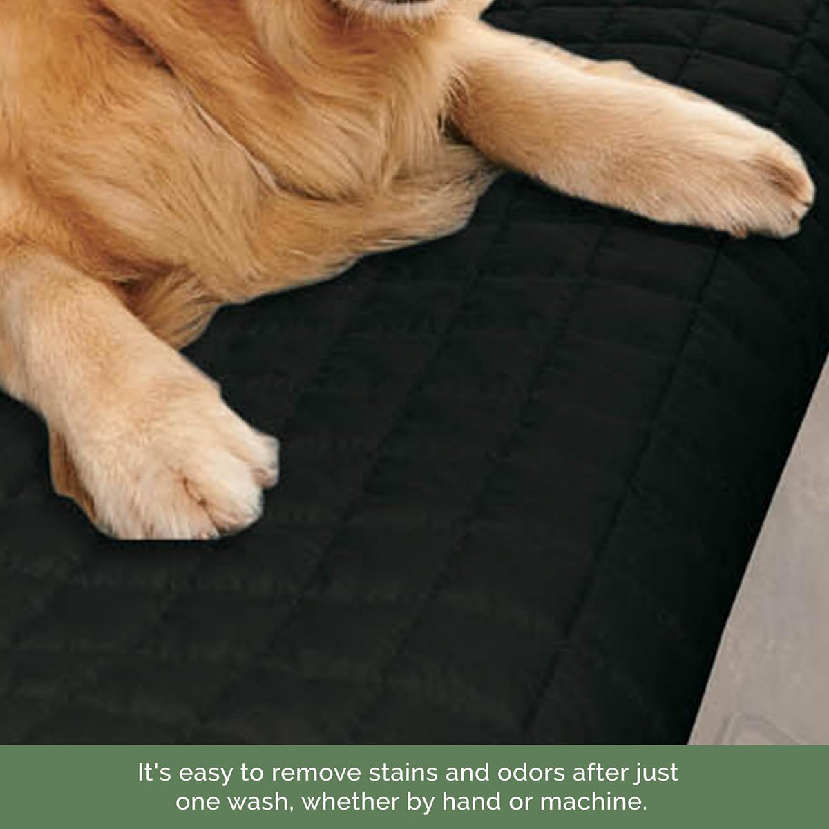Premium Pet Car Seat Cover for Back Seat, Luxury Microfiber