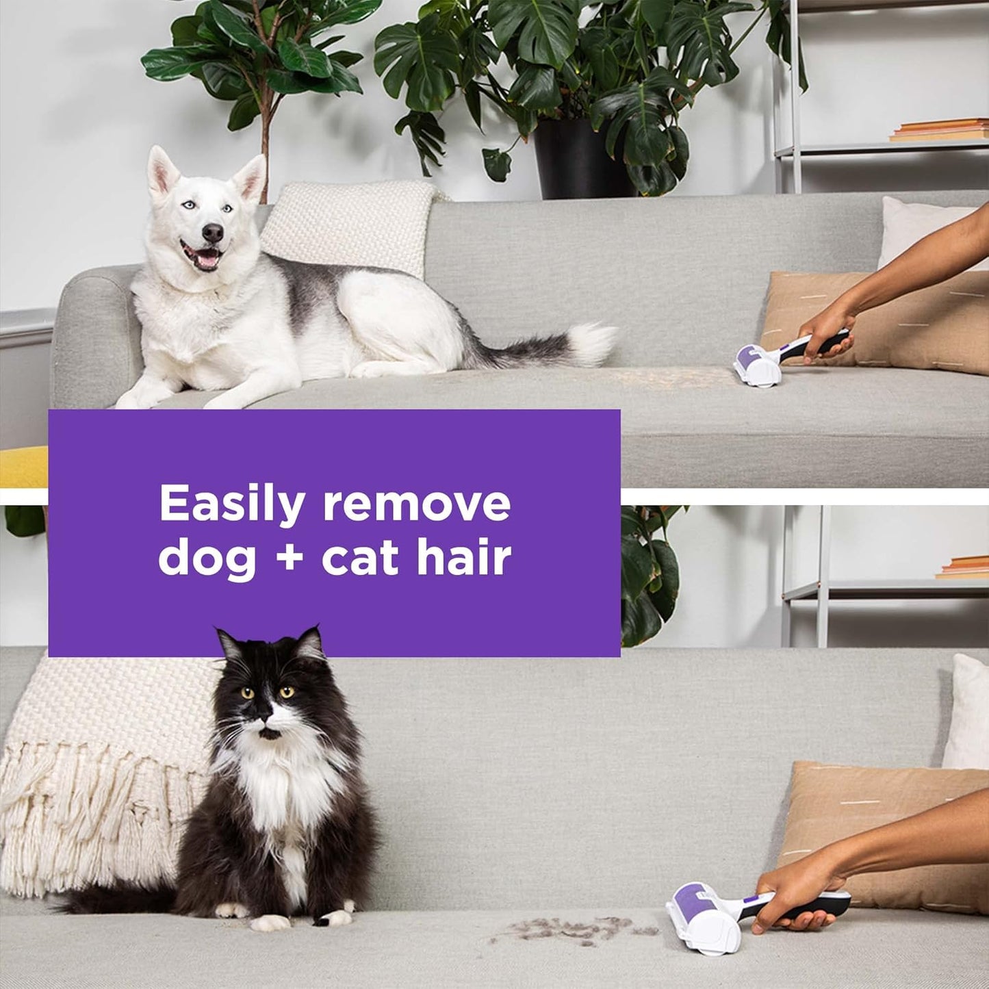 Pet Hair Remover, Roller, Remove Dog Hair and Cat Hair