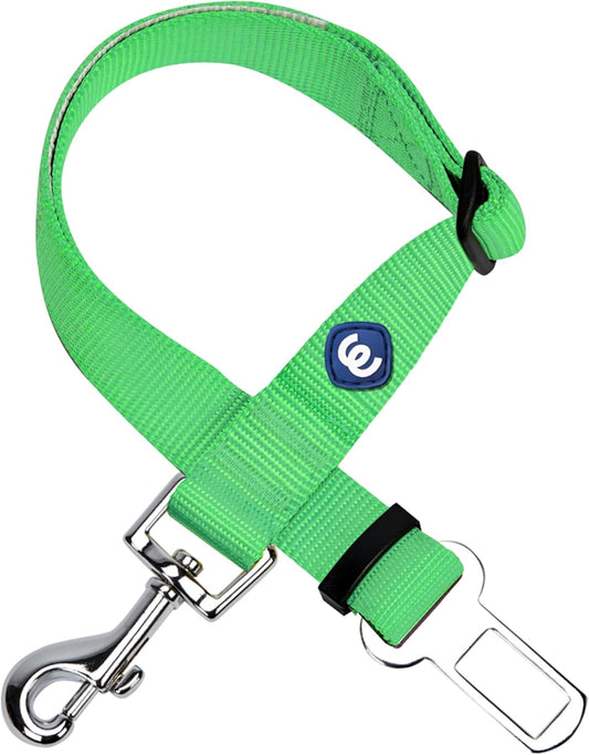 Essentials Classic Dog Leash, Neon Green Dog Leashes for