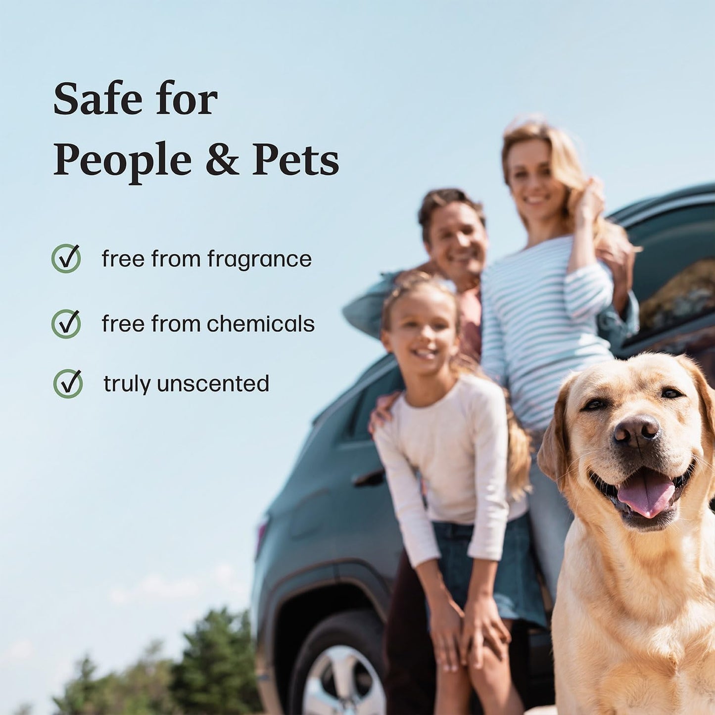 Charcoal Odor Absorber for Cars, 300g Bamboo Charcoal Air