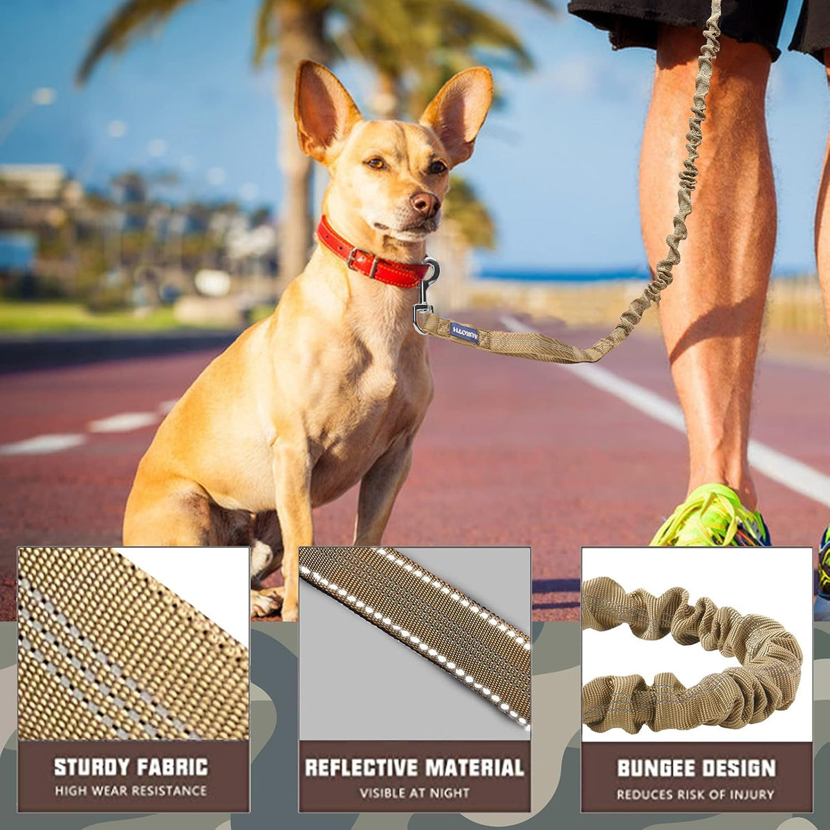 Heavy Duty Bungee Dog Leash for Large Breed Dogs, No Pull