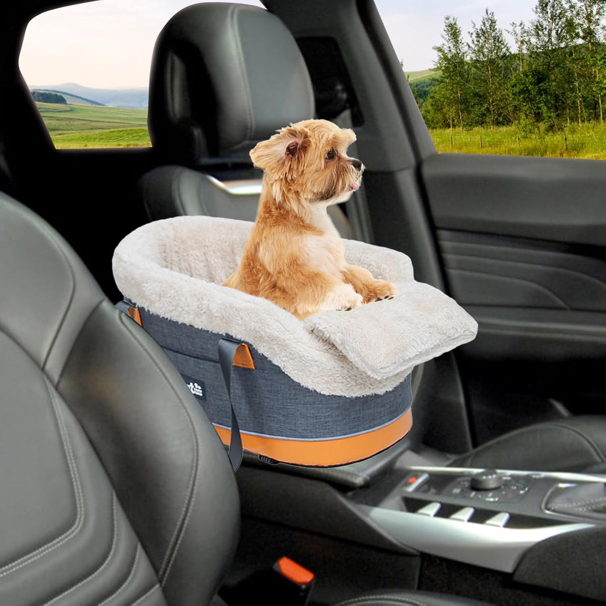 Small Dog Car Seat, Dog Car Booster Seat on Car Armrest