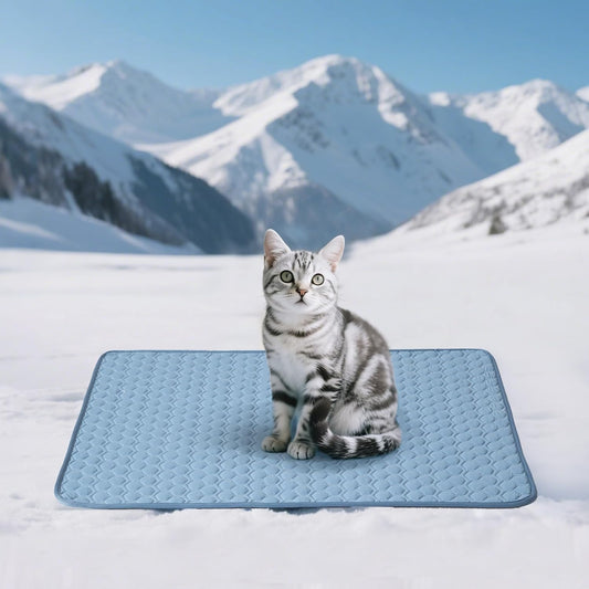 Soulbond Cooling Mat for Small Dogs - 25" x 35" Washable Cooling Mat for Cats, QMAX>0.3, Anti-Slip Bottom, Portable Summer Cool Puppy Bed Pad for Outdoor/Indoor/Cars/Travel Use, Ocean Blue