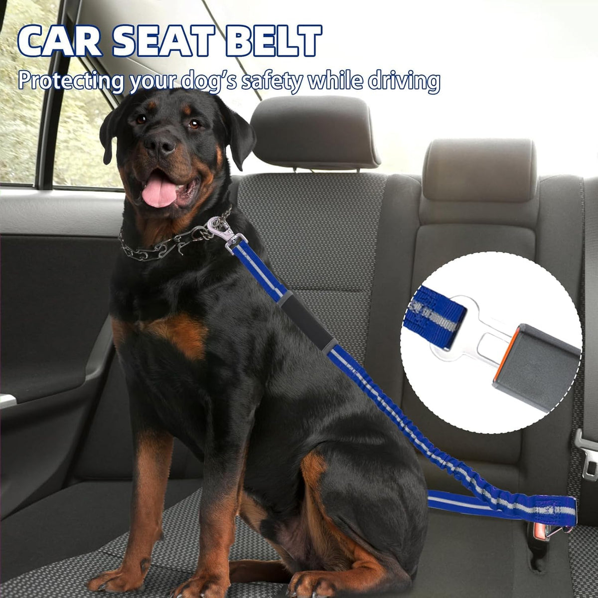 Heavy Duty Bungee Leash for Medium Large Dogs, No Pull