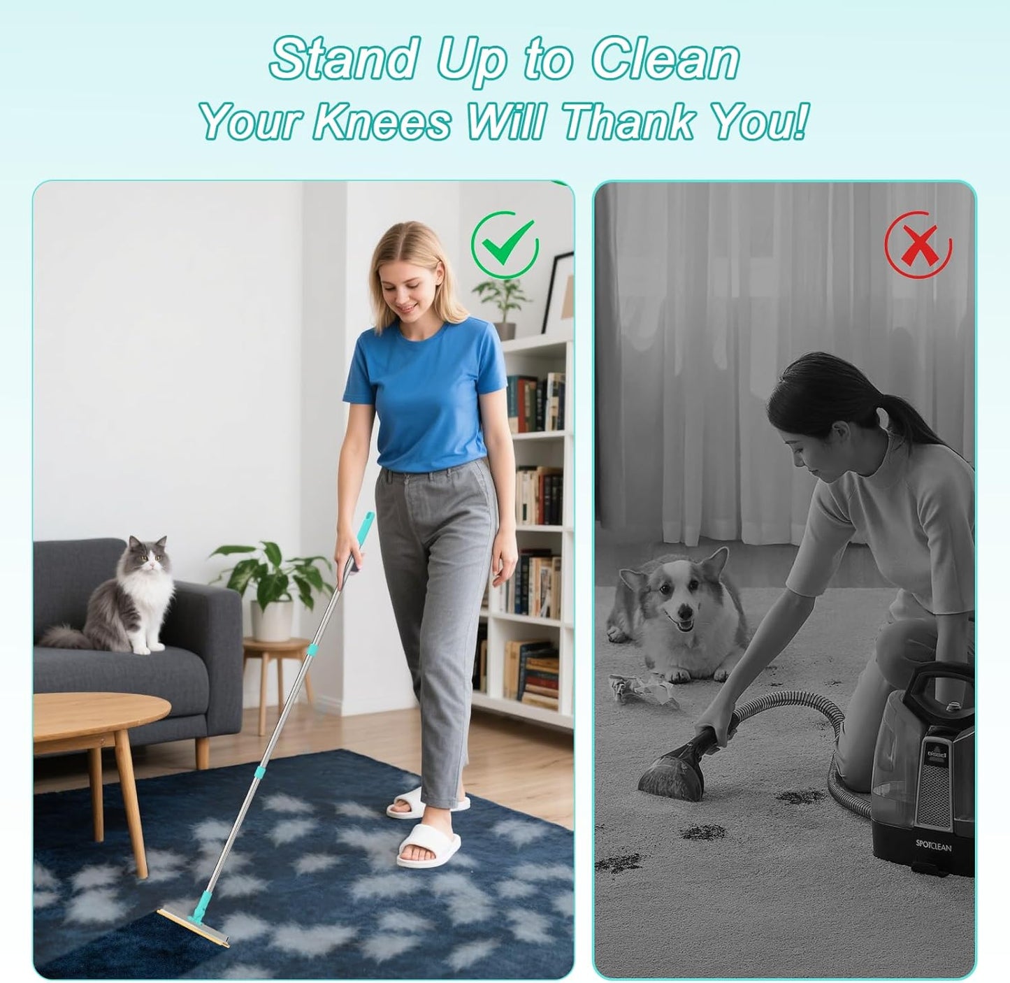 Carpet Rake for Pet Hair Removal Tool - Reusable Dog Cat