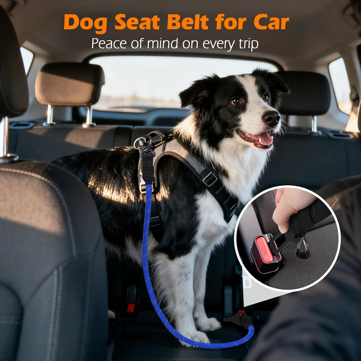 Dog Seat Belt for Car, Durable Rope Dog Car Harness