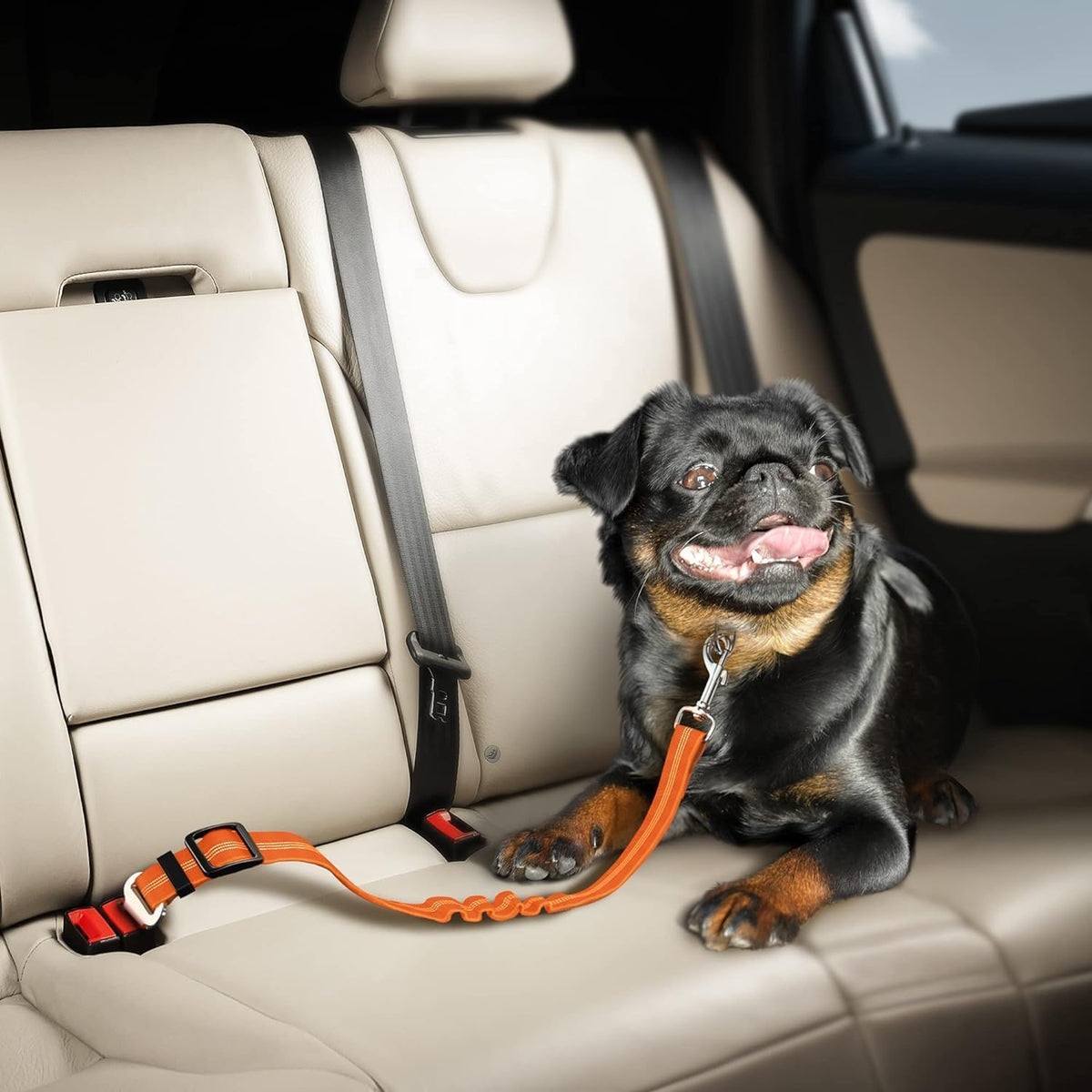 Adjustable Dog Car Harness | Seat Belt for Pets with Elastic Bungee Buffer | Essential Travel Accessory - Orange