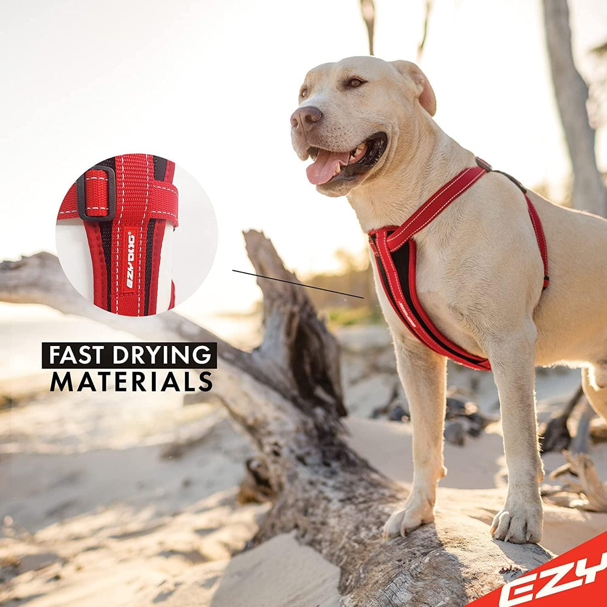 Chest Plate No Pull Dog Harness – Escape Proof Harness with