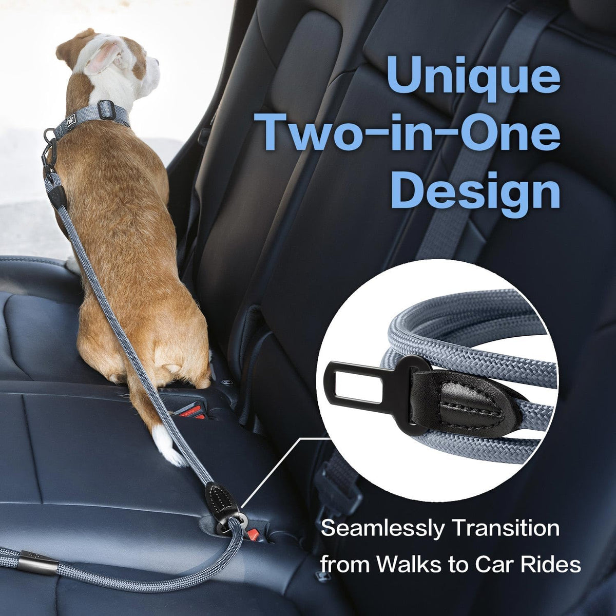 PawsPassion Rope Dog Leash 6 FT, 2-in-1 Heavy Duty Dog