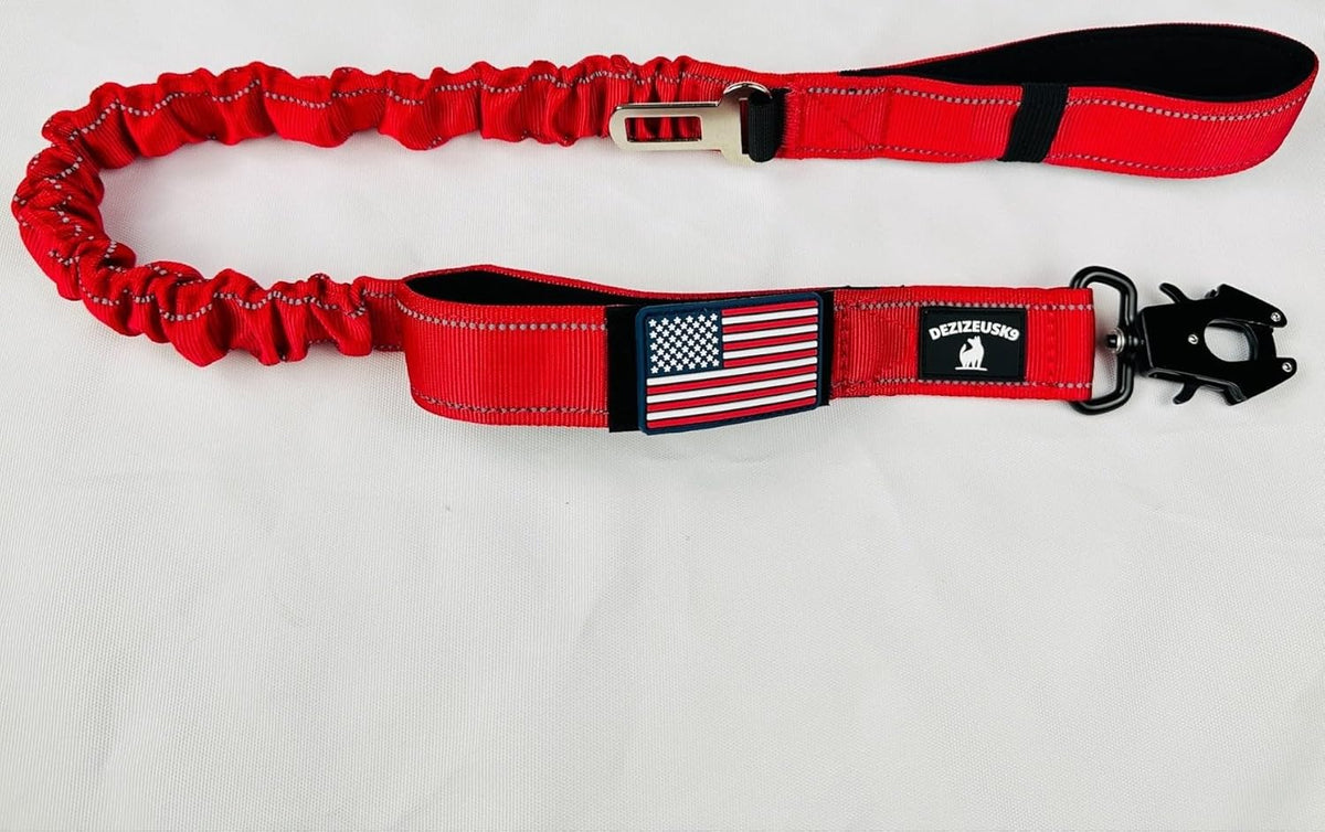 Heavy Duty Bungee Dog Leash - Shock Absorbing, Seat Belt