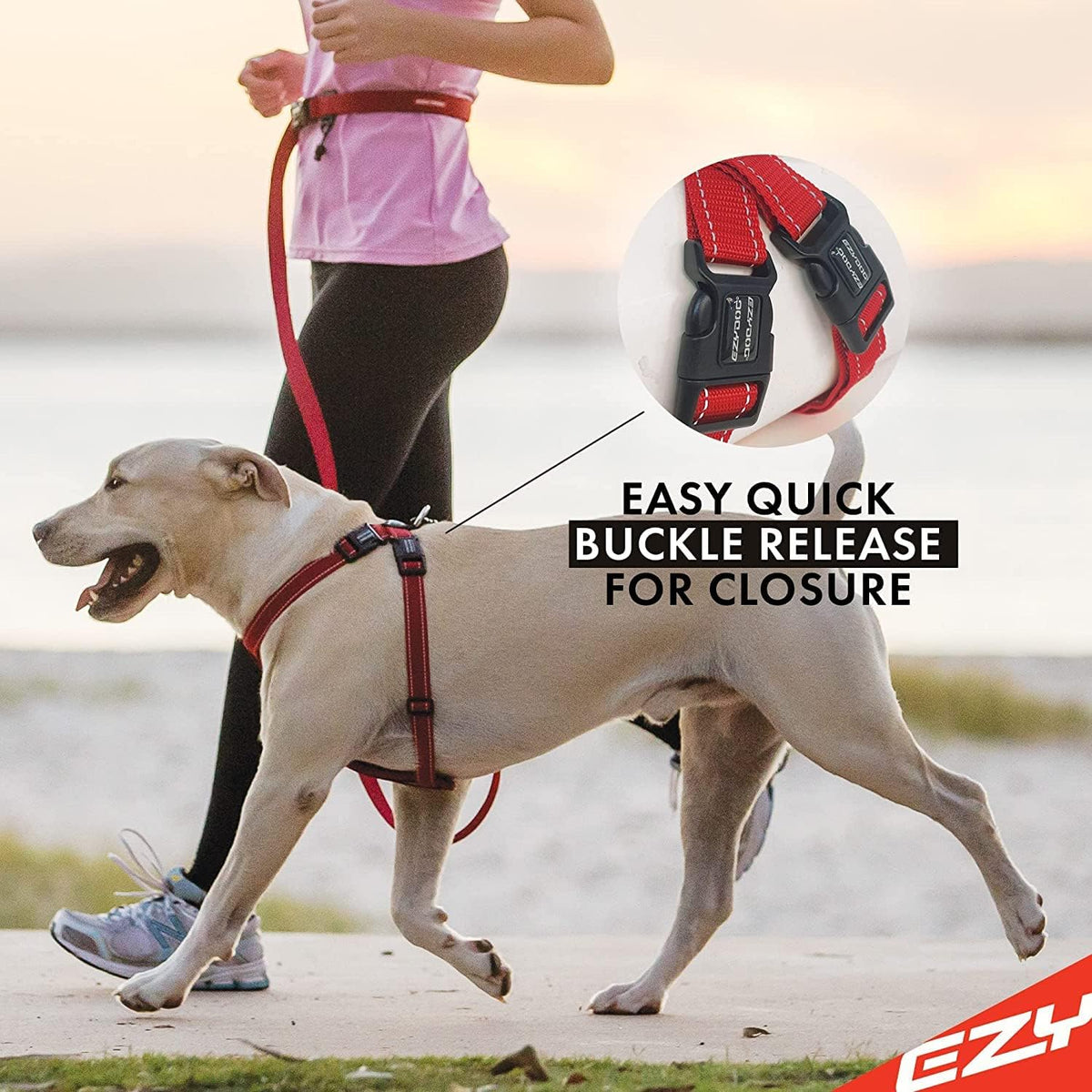 Chest Plate No Pull Dog Harness – Escape Proof Harness with