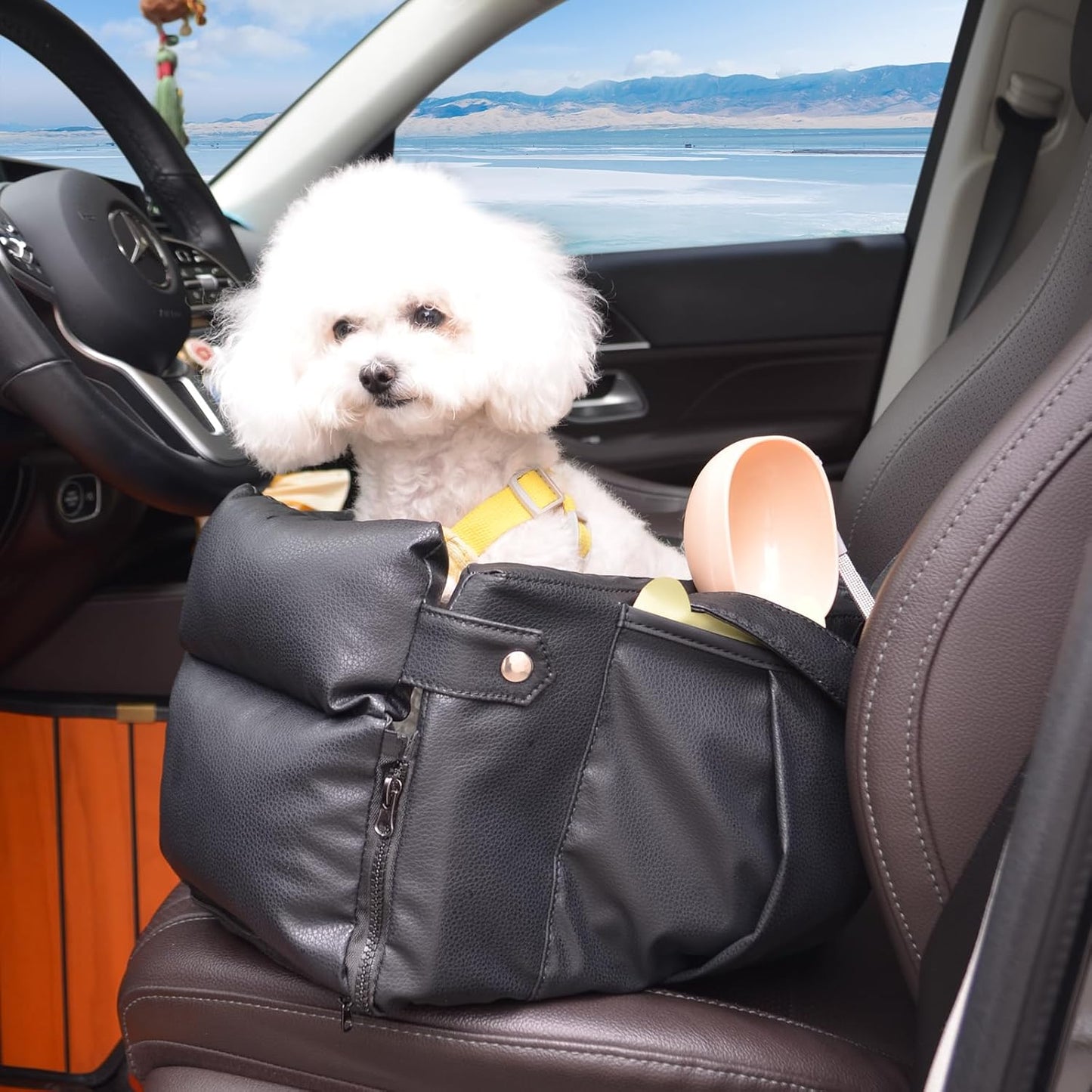 Portable Small Dog Seat for Car, Luxury Leather Center
